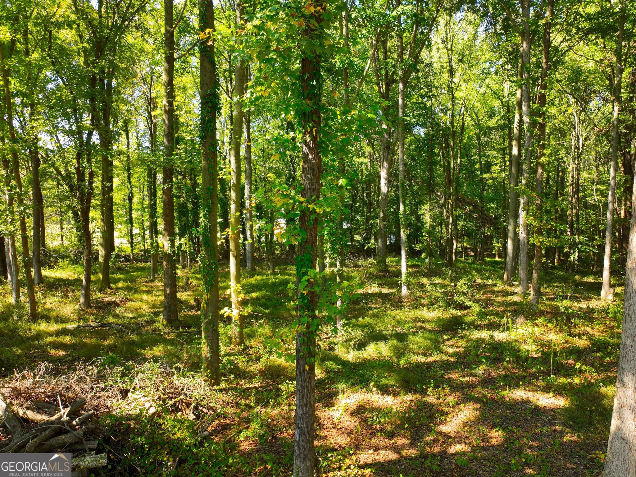 agriculture under contract at 186 Doyle Road, Bowersville, GA 30516 — photo 3