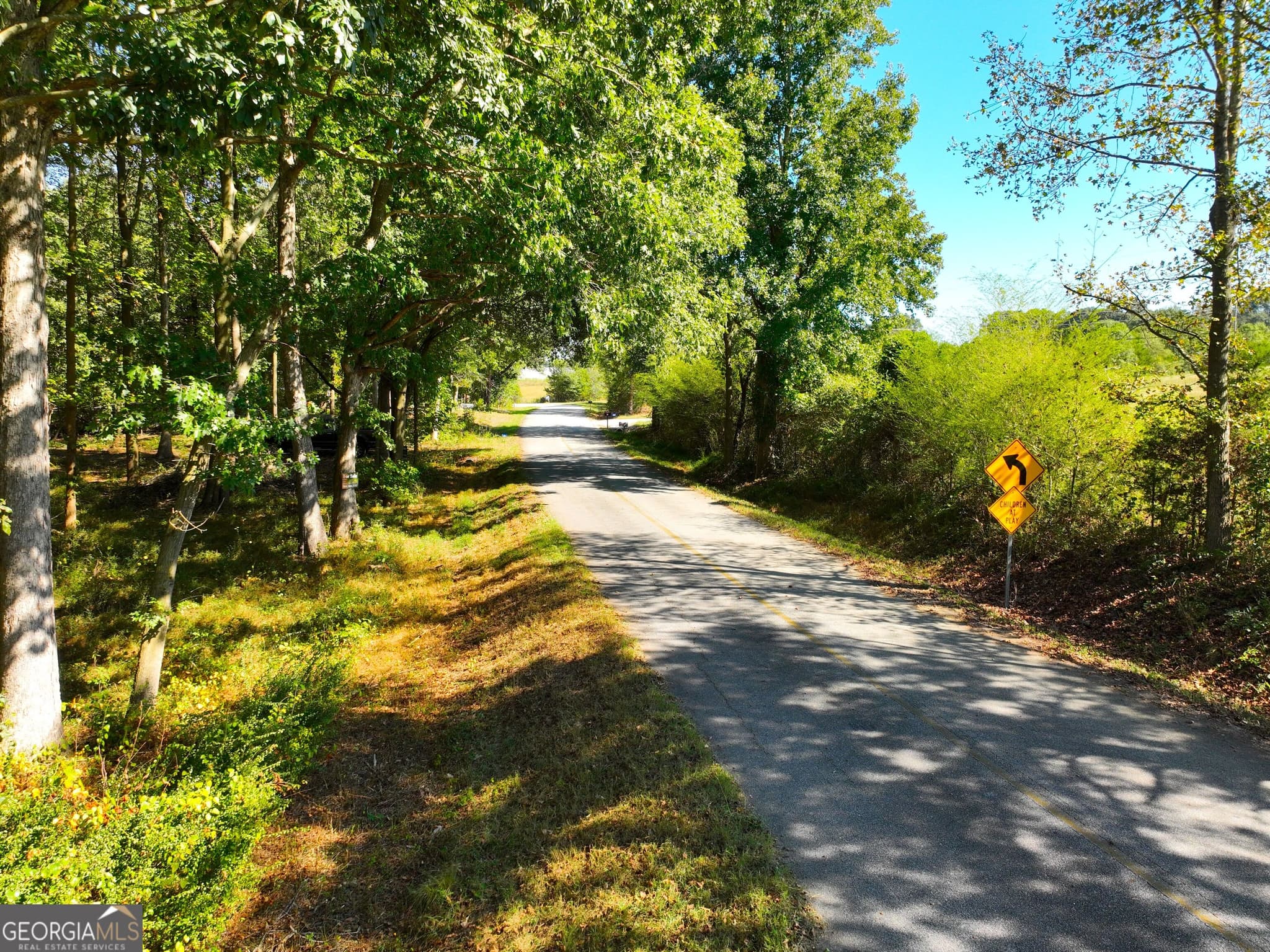 agriculture under contract at 186 Doyle Road, Bowersville, GA 30516 — photo 5