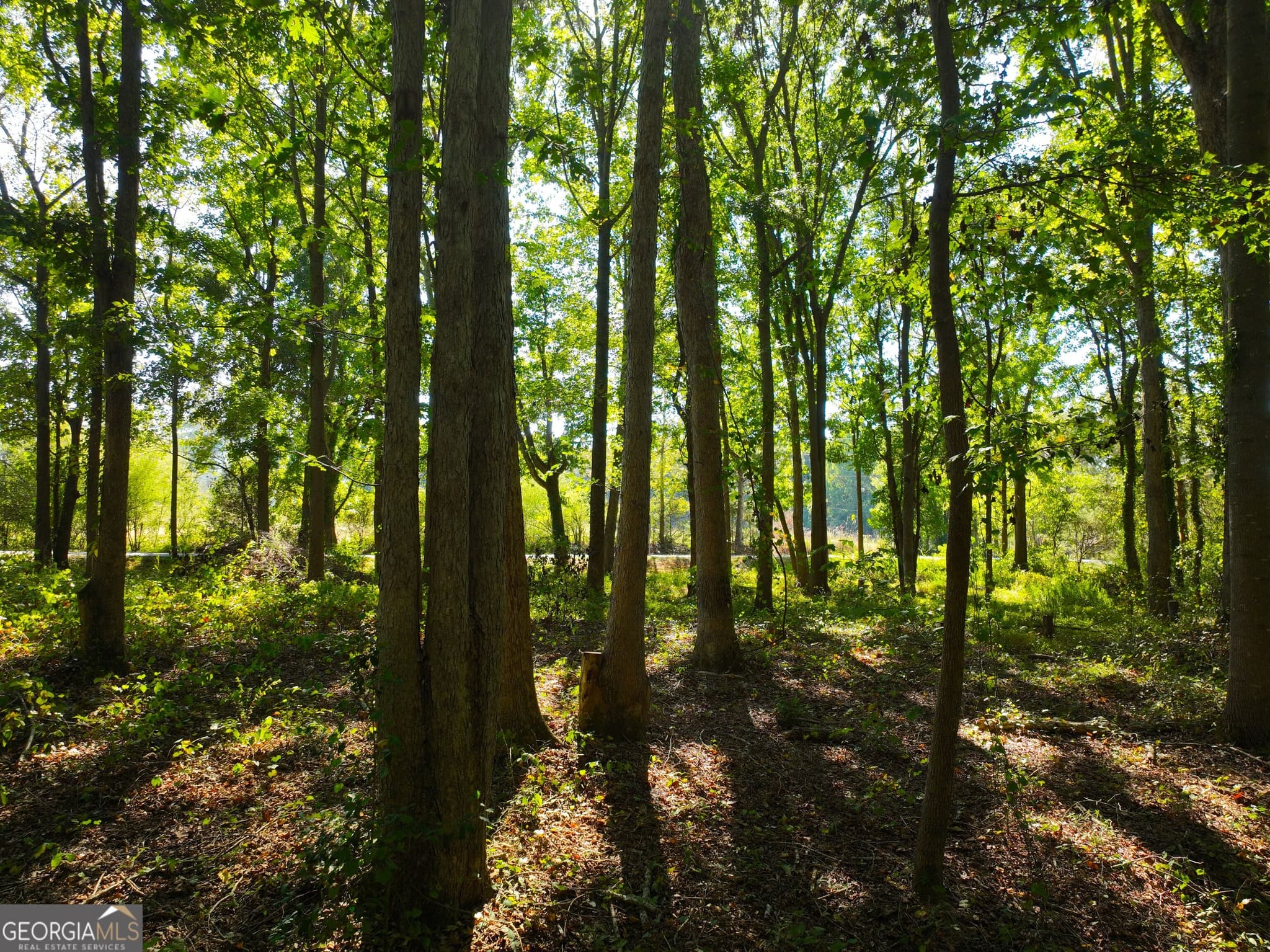 agriculture under contract at 186 Doyle Road, Bowersville, GA 30516 — photo 9