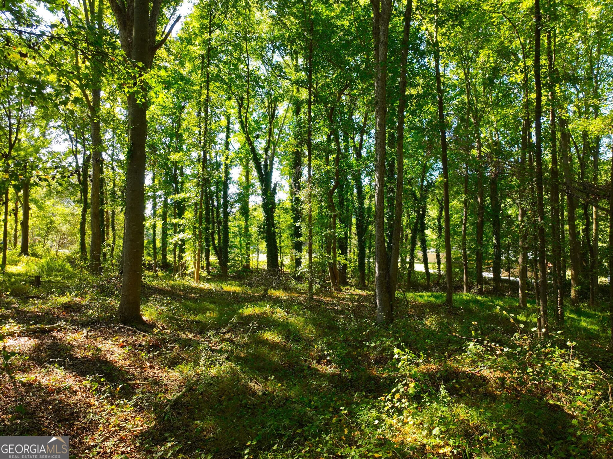 agriculture under contract at 186 Doyle Road, Bowersville, GA 30516 — photo 10