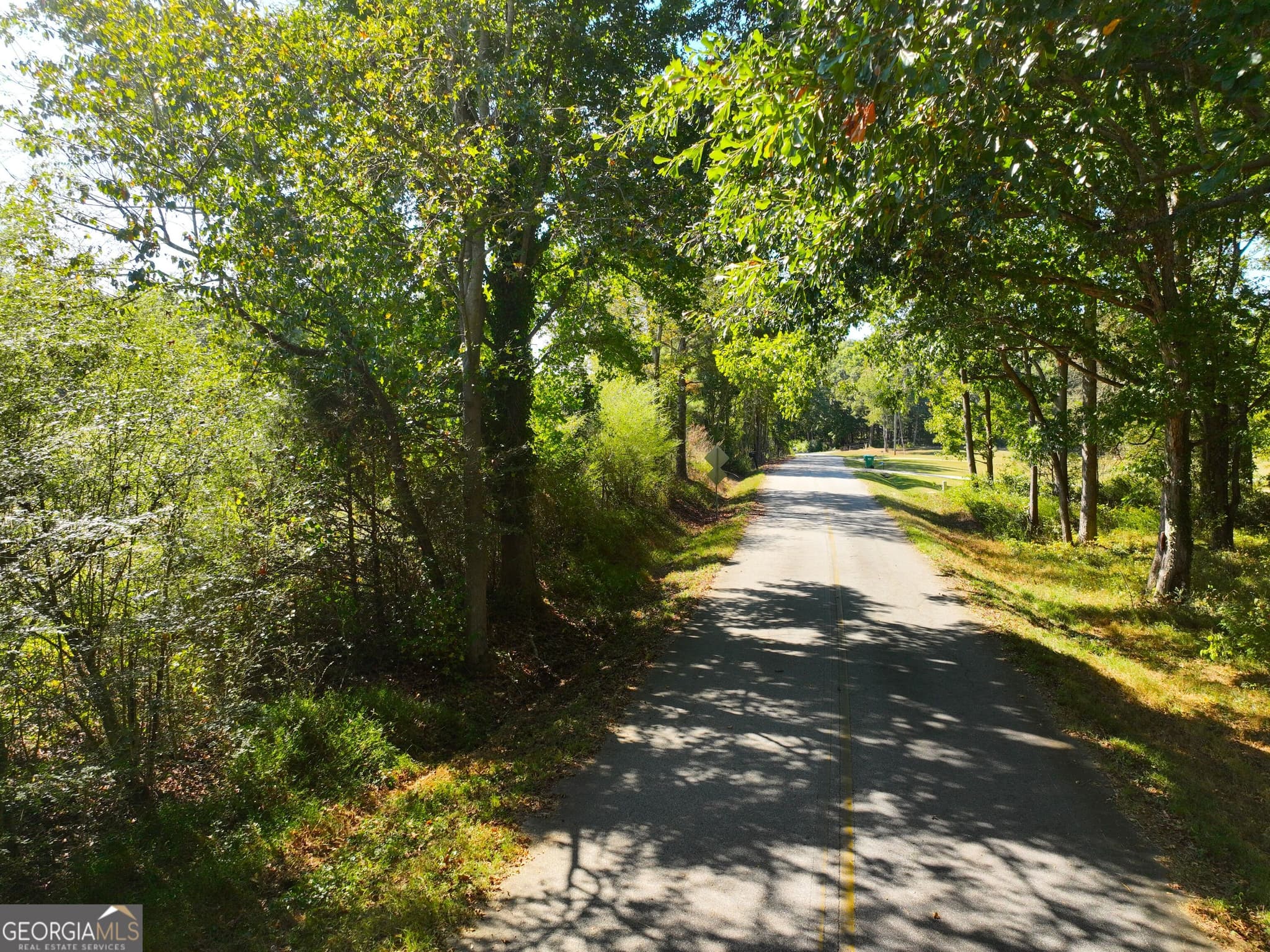 agriculture under contract at 186 Doyle Road, Bowersville, GA 30516 — photo 4