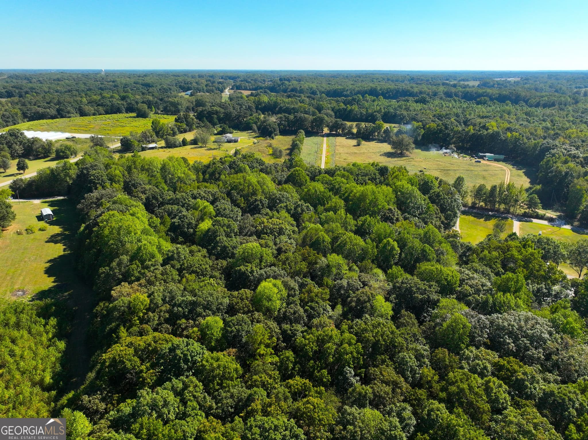 agriculture under contract at 186 Doyle Road, Bowersville, GA 30516 — photo 8
