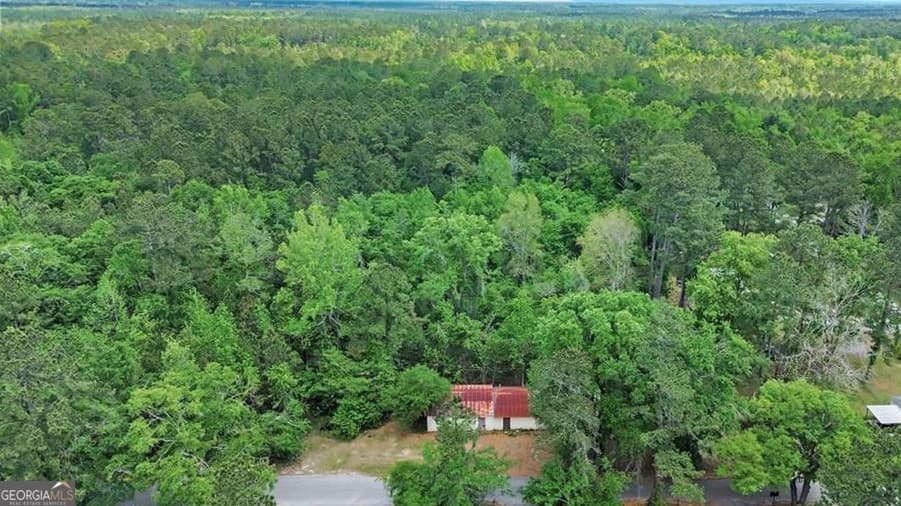 unimproved land for sale at 247 Cedar Lane, Guyton, GA 31312 — photo 3