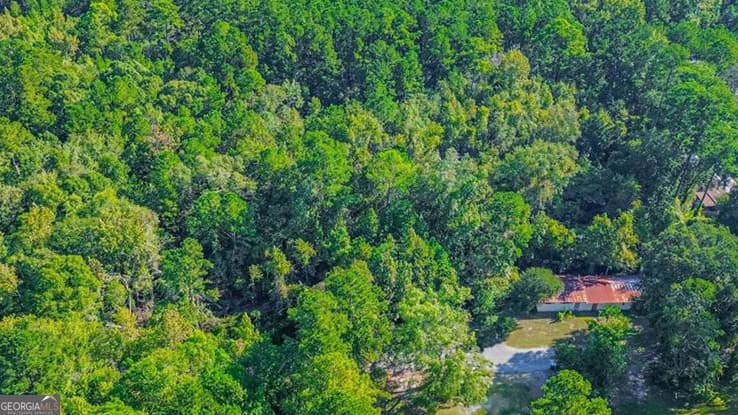 unimproved land for sale at 247 Cedar Lane, Guyton, GA 31312 — photo 4