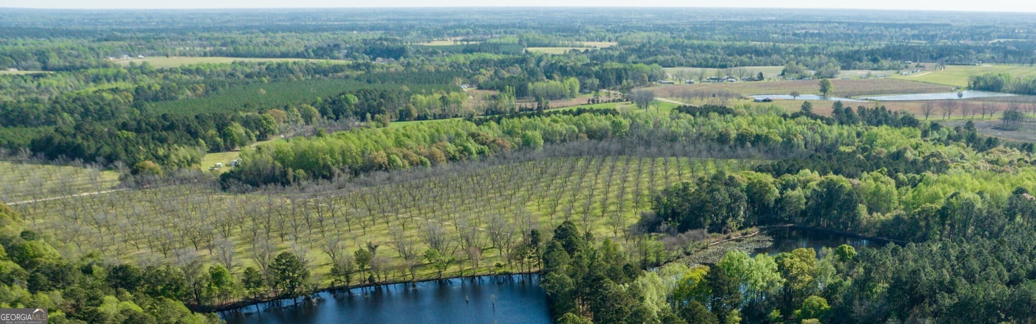 agriculture for sale at 0 Edenfield Road, Cobbtown, GA 30420 — photo 2
