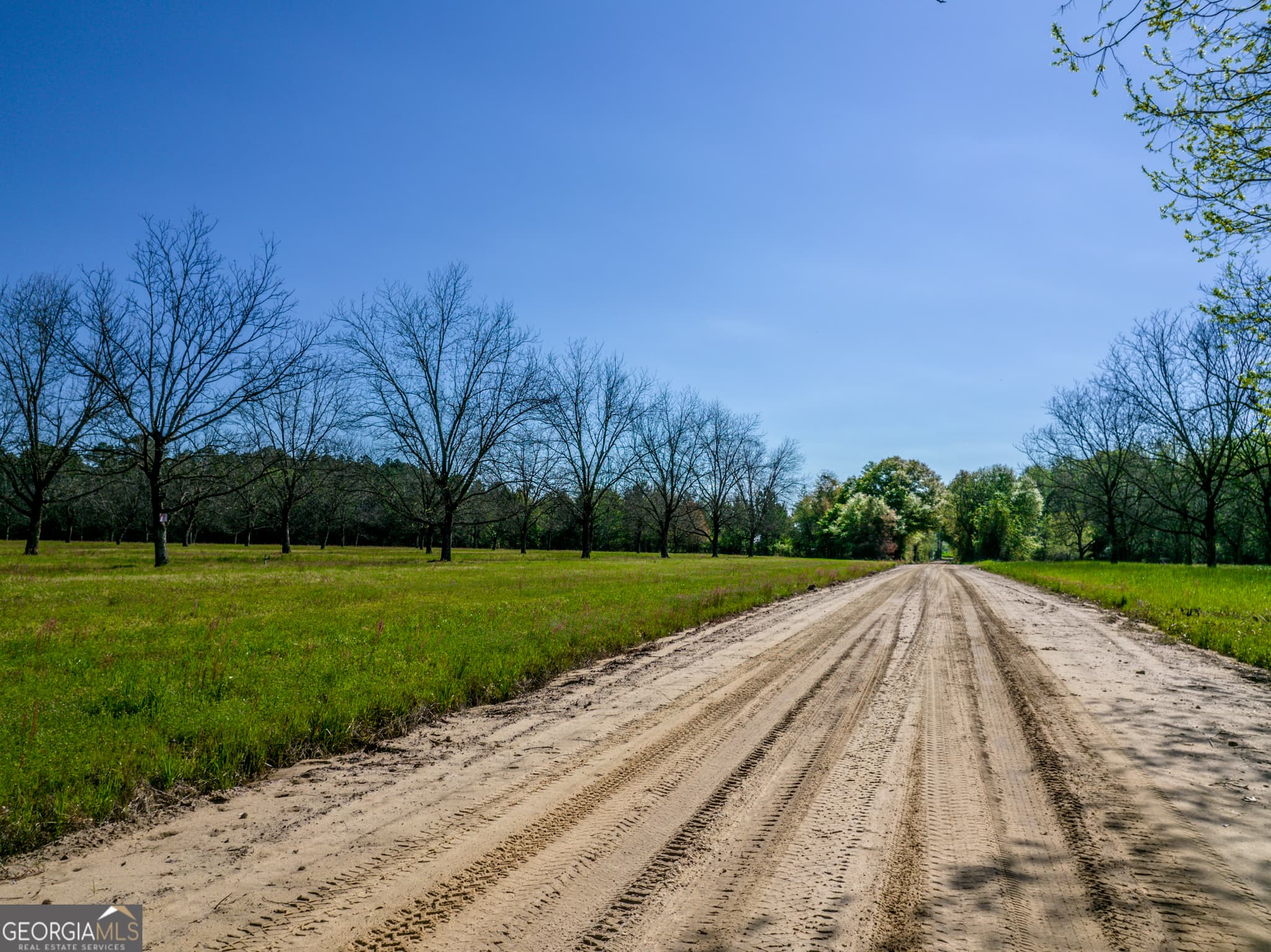 agriculture for sale at 0 Edenfield Road, Cobbtown, GA 30420 — photo 6
