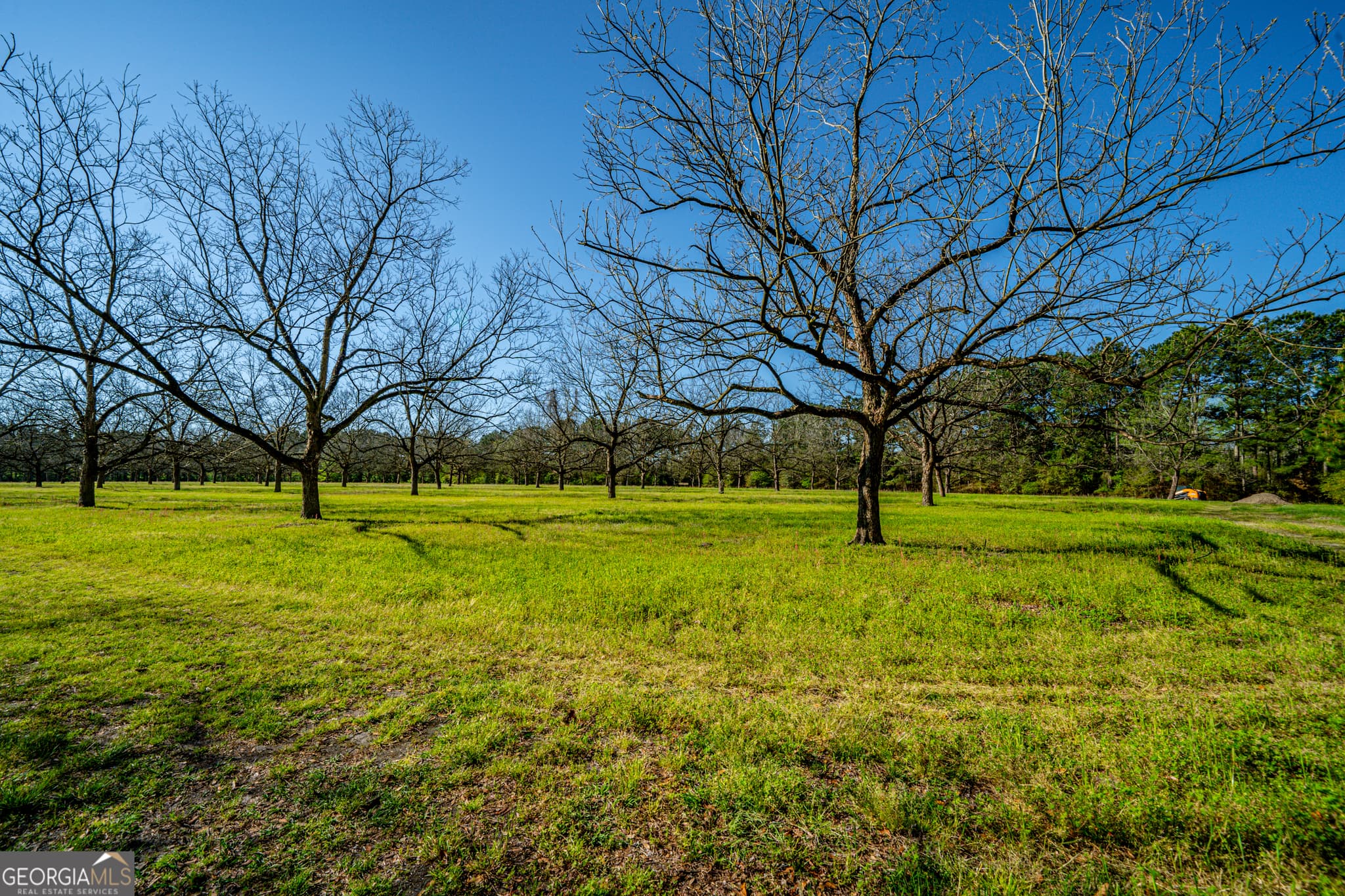 agriculture for sale at 0 Edenfield Road, Cobbtown, GA 30420 — photo 7