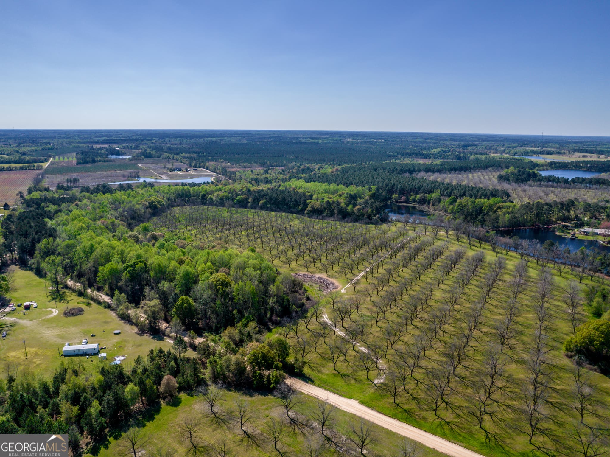 agriculture for sale at 0 Edenfield Road, Cobbtown, GA 30420