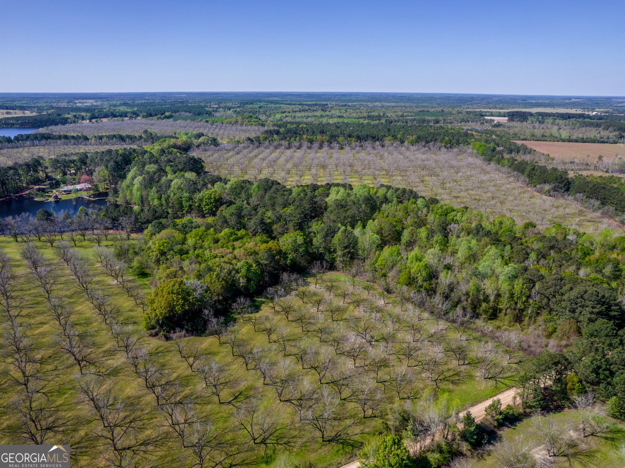 agriculture for sale at 0 Edenfield Road, Cobbtown, GA 30420 — photo 5