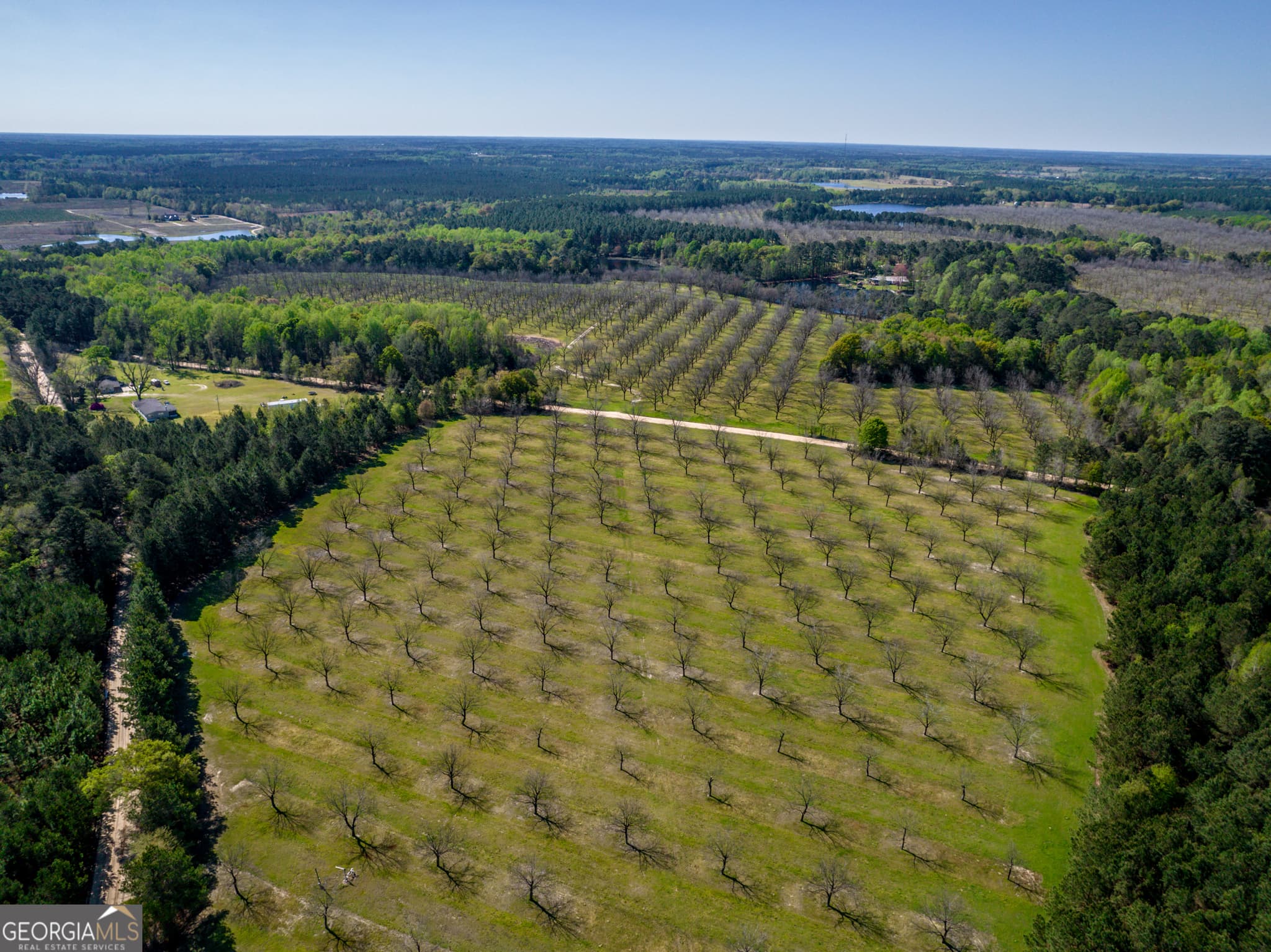 agriculture for sale at 0 Edenfield Road, Cobbtown, GA 30420 — photo 9