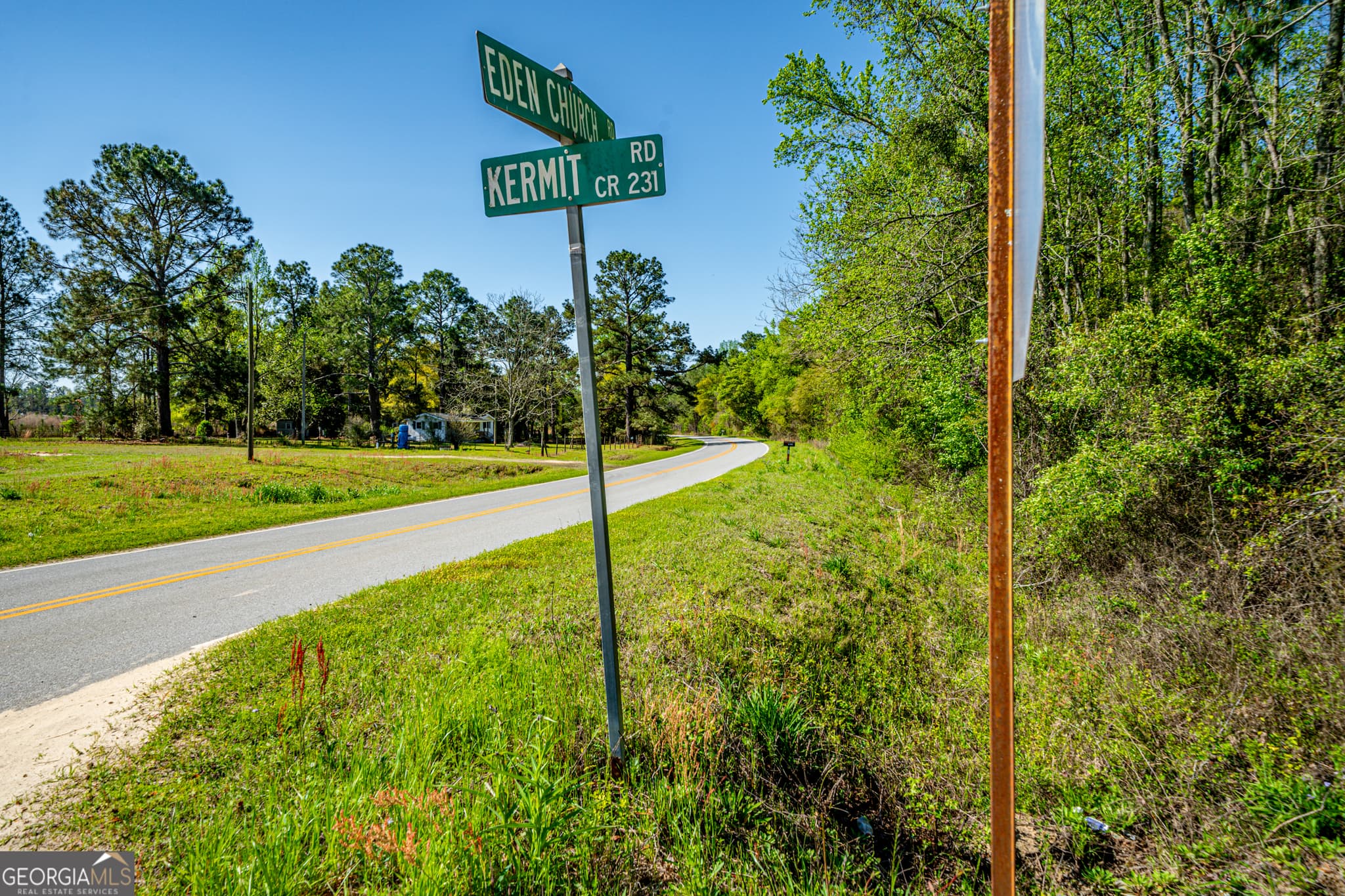agriculture for sale at 0 Edenfield Road, Cobbtown, GA 30420 — photo 10