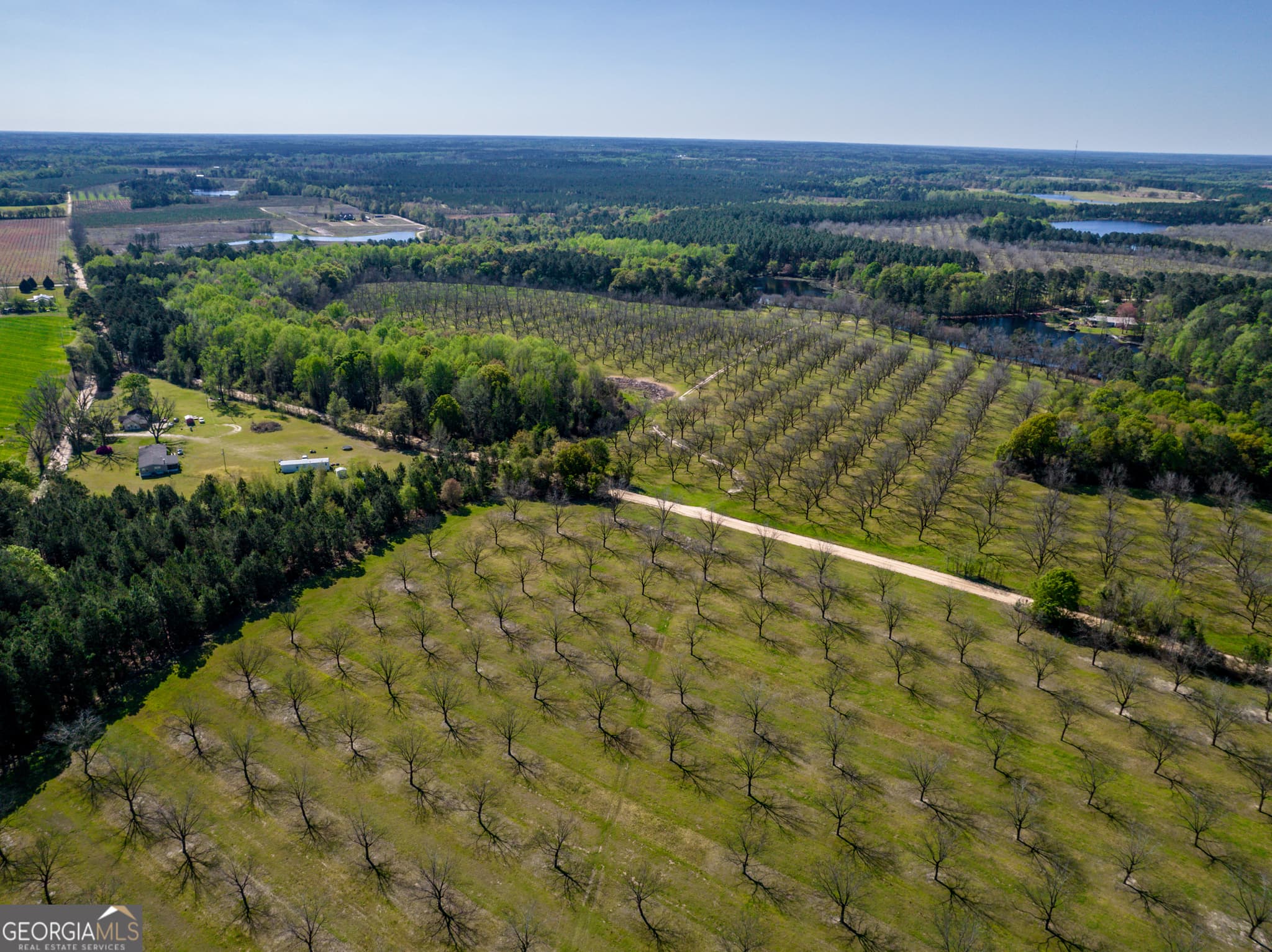 agriculture for sale at 0 Edenfield Road, Cobbtown, GA 30420 — photo 4