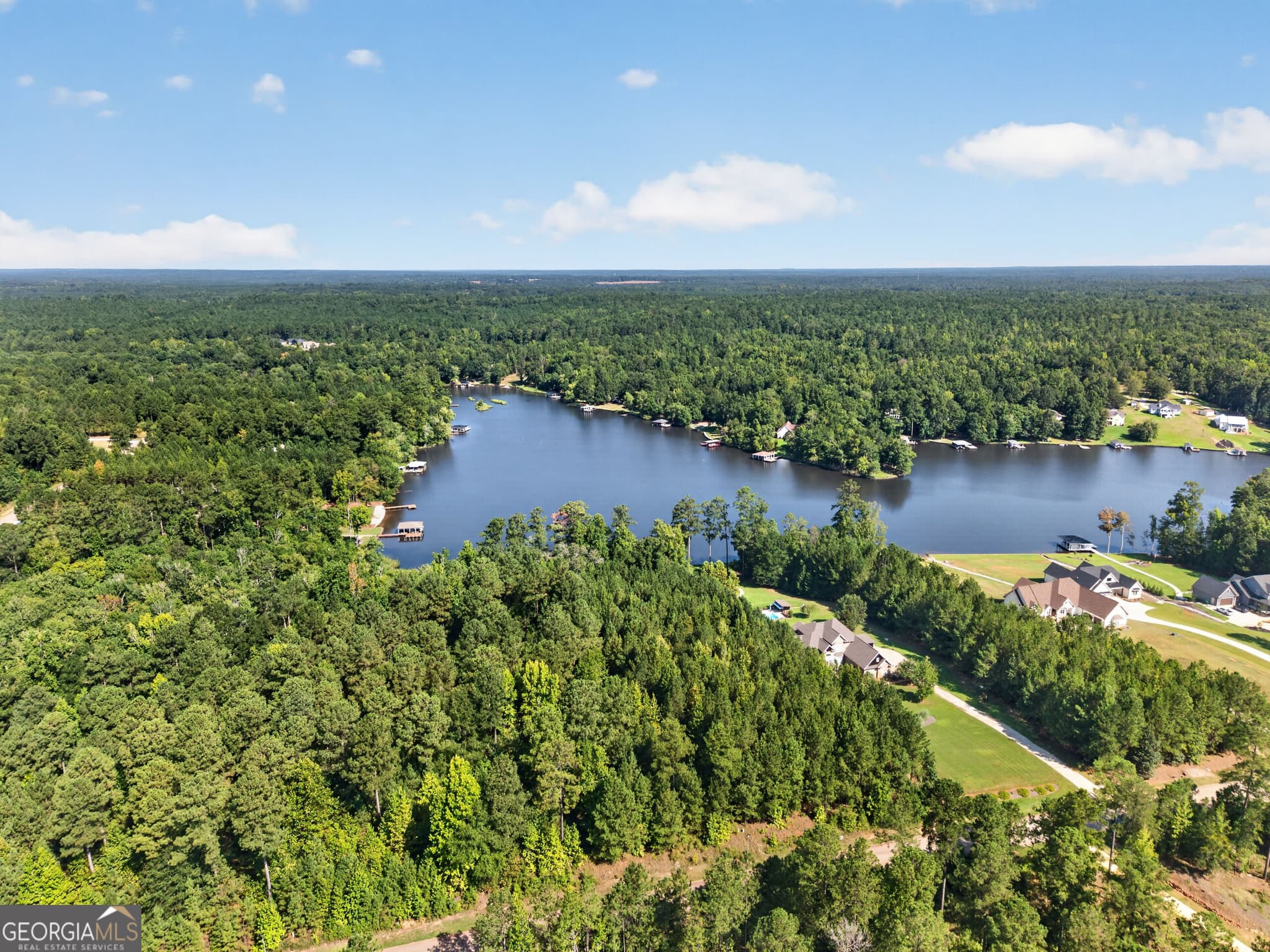 unimproved land for sale at 826 Parham Road, Milledgeville, GA 31061 — photo 6