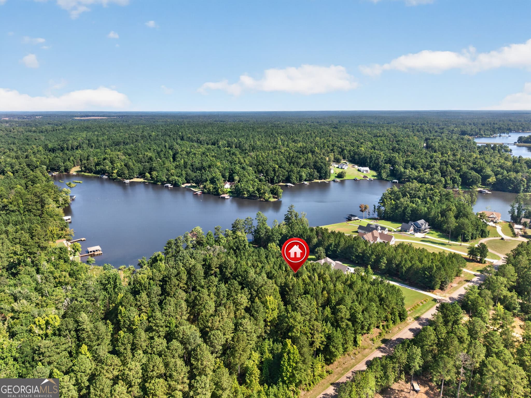 unimproved land for sale at 826 Parham Road, Milledgeville, GA 31061 — photo 7