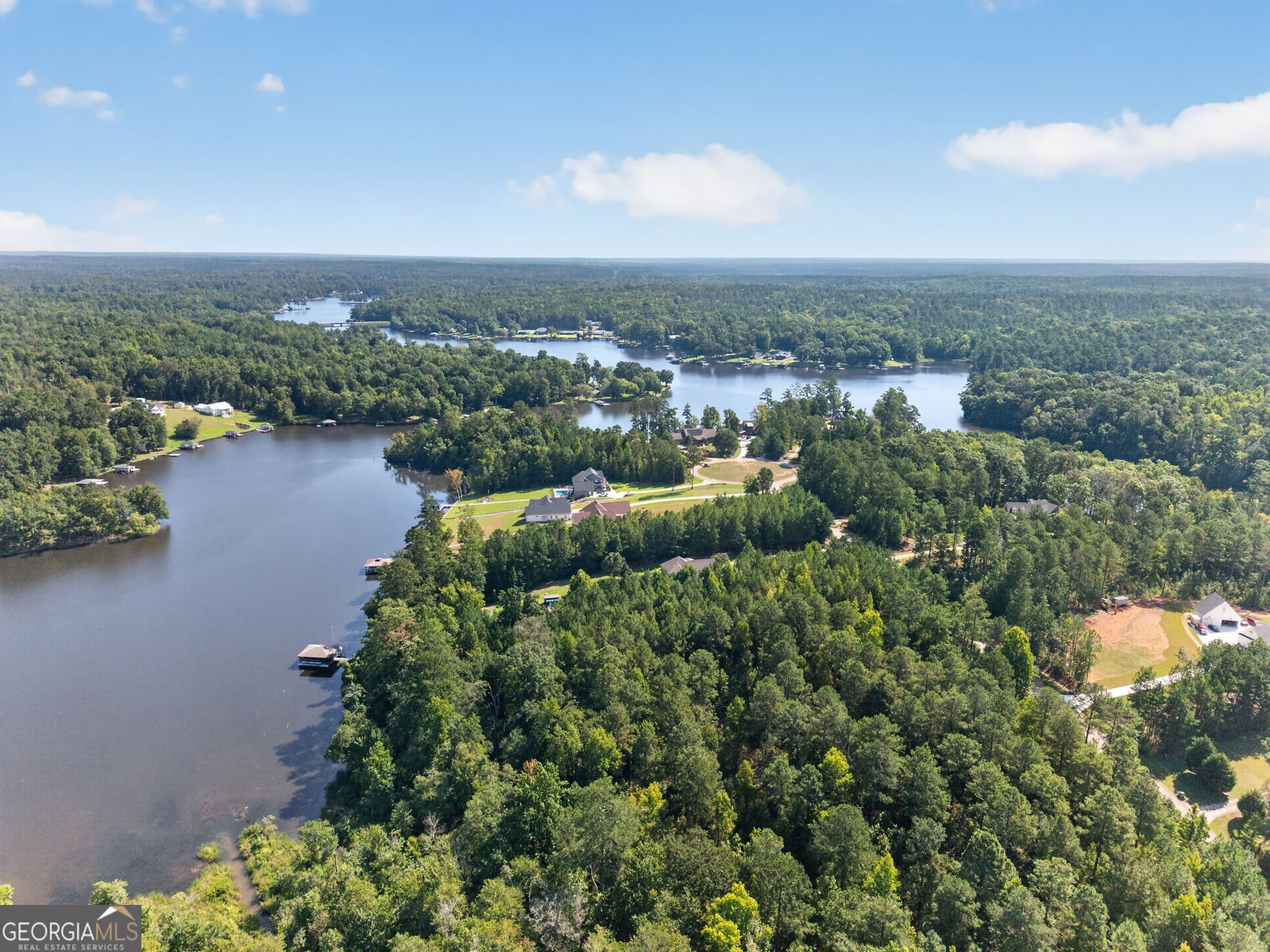 unimproved land for sale at 826 Parham Road, Milledgeville, GA 31061 — photo 9