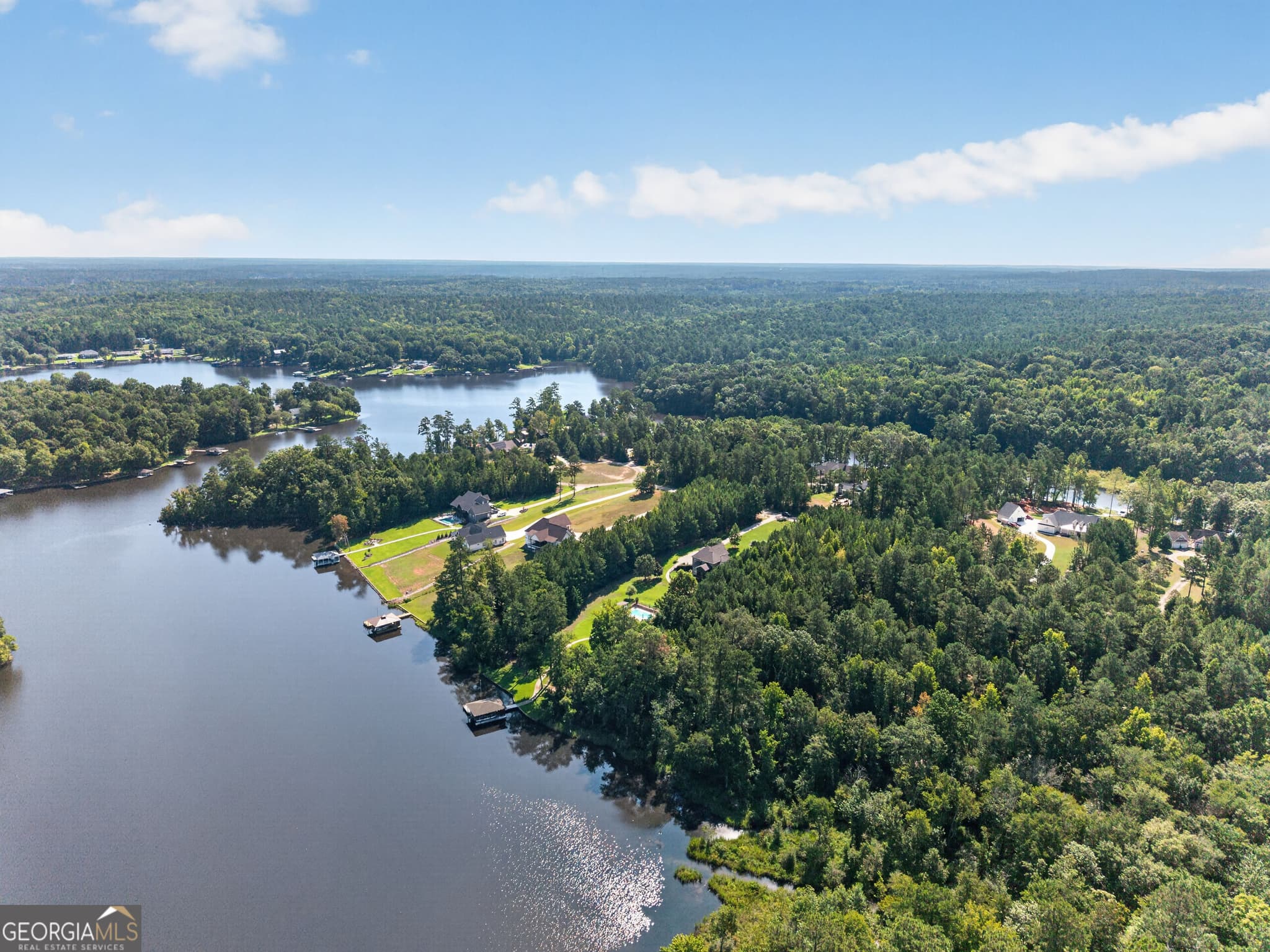unimproved land for sale at 826 Parham Road, Milledgeville, GA 31061 — photo 10