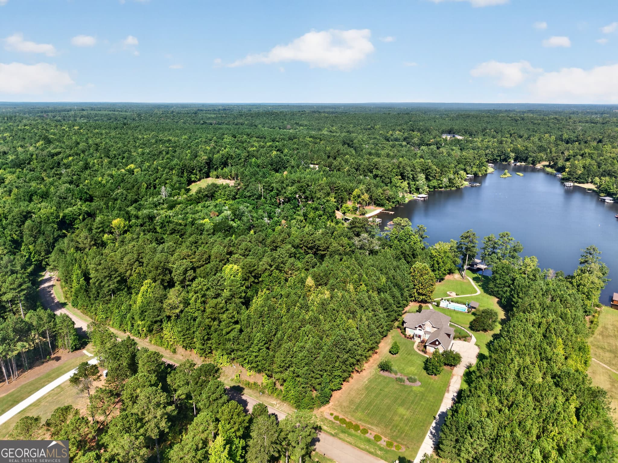 unimproved land for sale at 826 Parham Road, Milledgeville, GA 31061 — photo 4