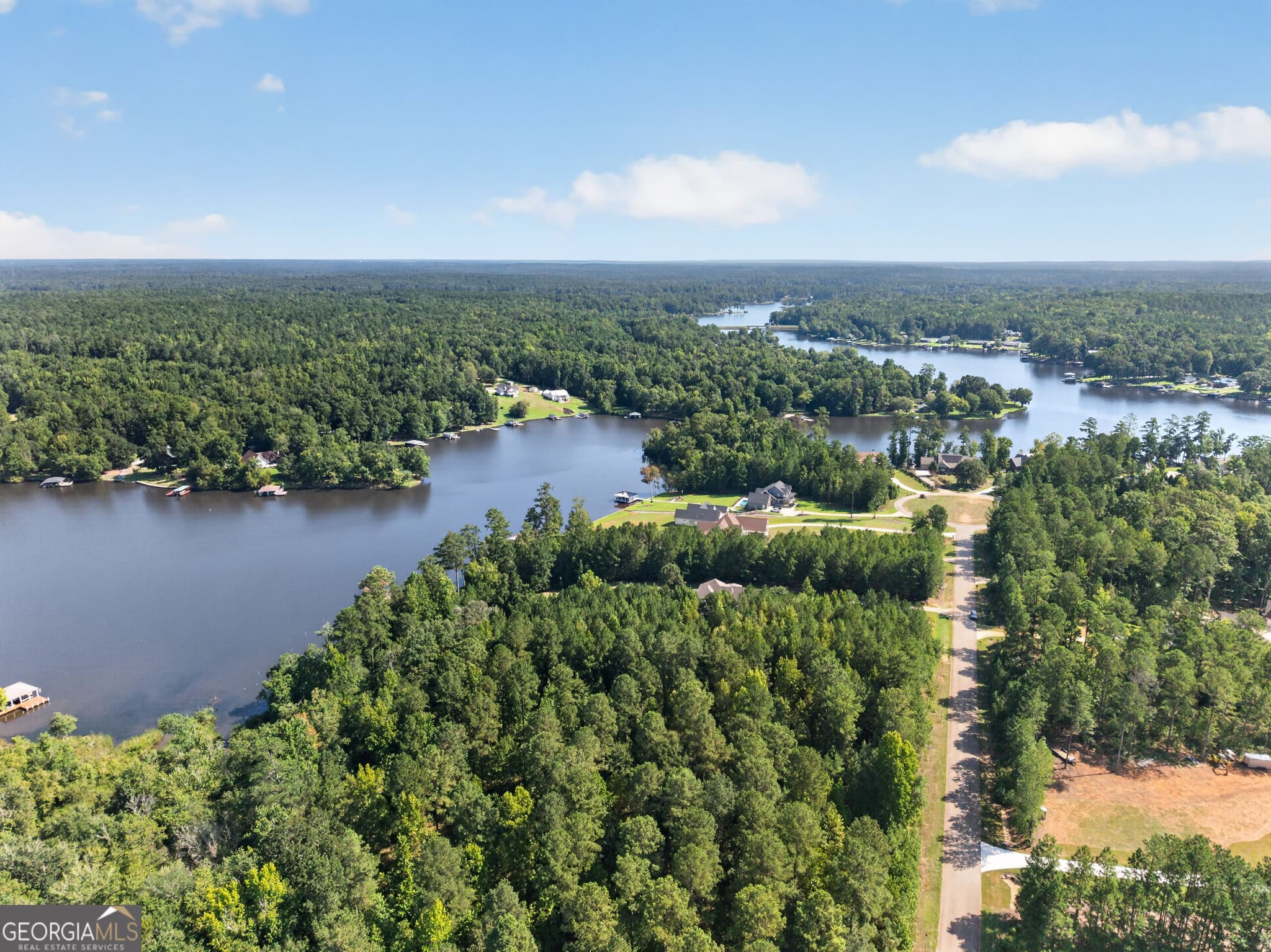 unimproved land for sale at 826 Parham Road, Milledgeville, GA 31061 — photo 8