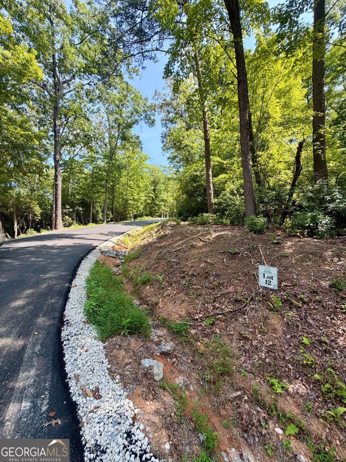 residential lot for sale at LOT 12 Sapphire Ridge, Blue Ridge, GA 30513 — photo 2