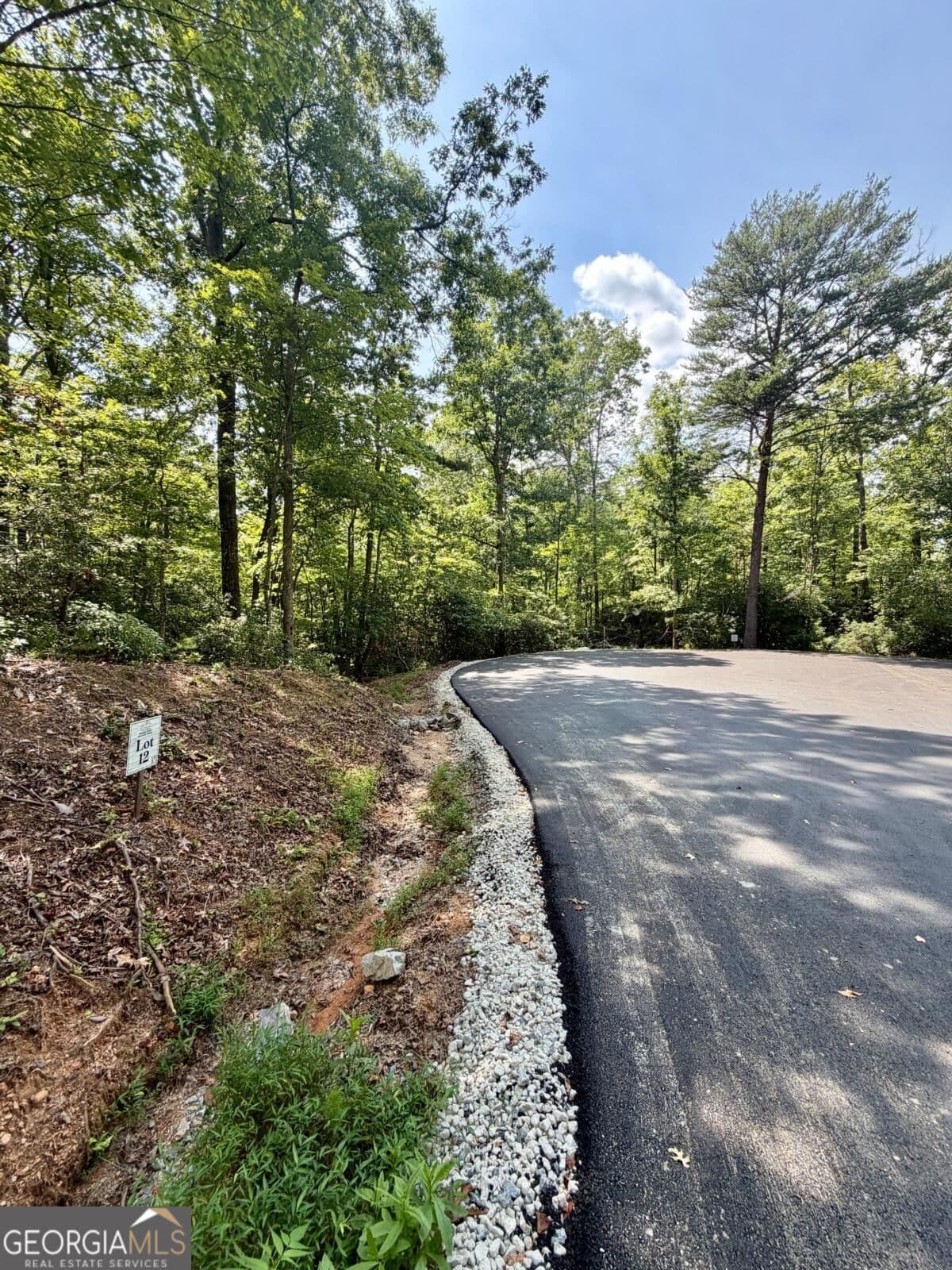 residential lot for sale at LOT 12 Sapphire Ridge, Blue Ridge, GA 30513 — photo 3