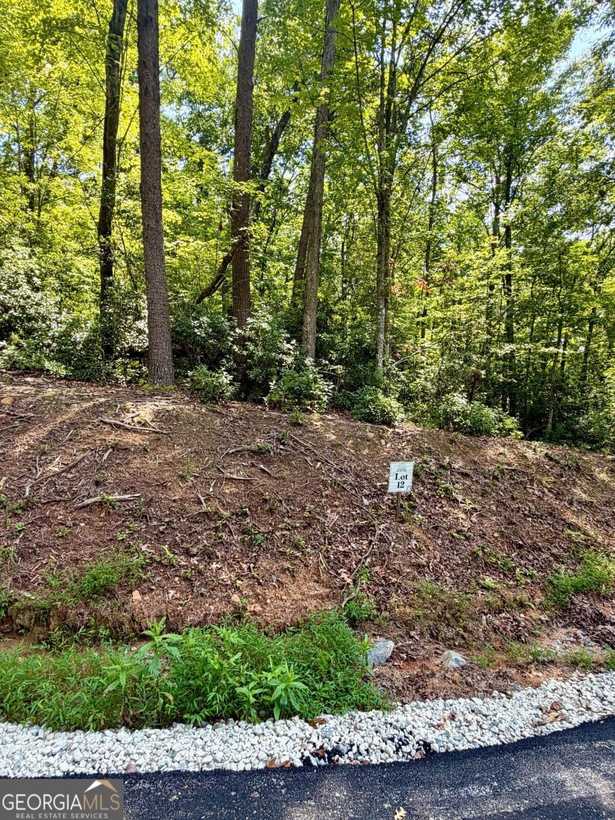 residential lot for sale at LOT 12 Sapphire Ridge, Blue Ridge, GA 30513 — photo 1 of 24