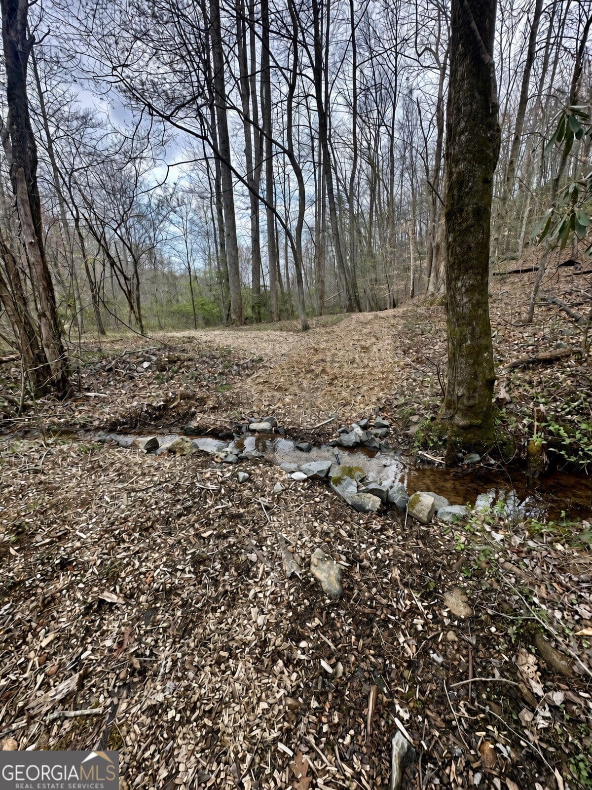residential lot for sale at LOT 12 Sapphire Ridge, Blue Ridge, GA 30513 — photo 5