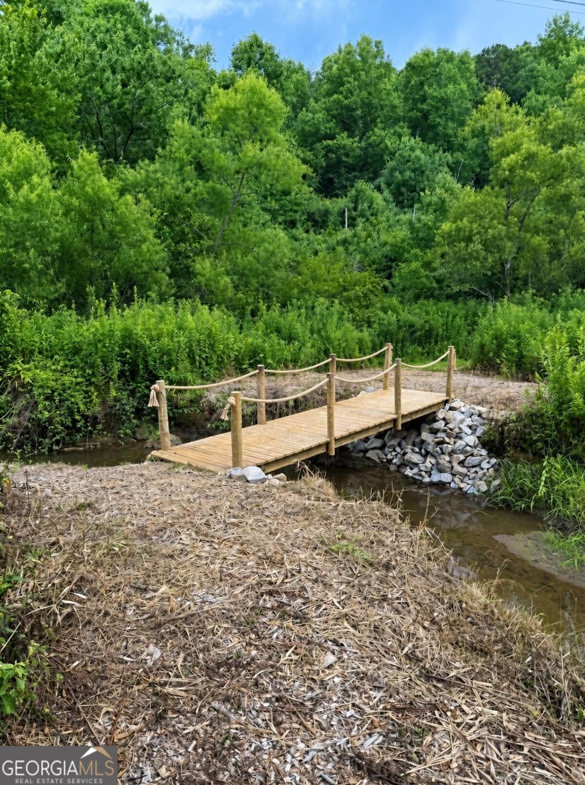 residential lot for sale at LOT 12 Sapphire Ridge, Blue Ridge, GA 30513 — photo 10