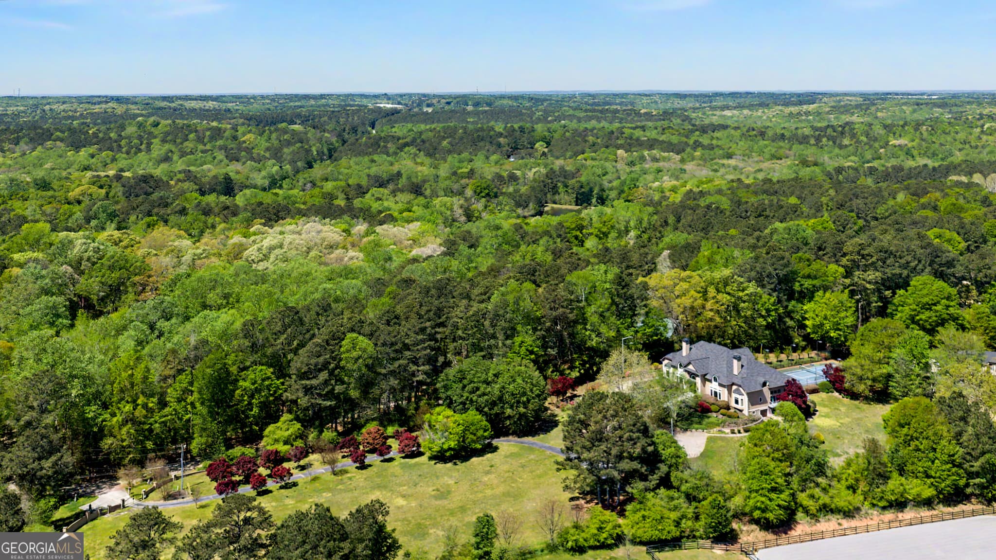 5 bedroom, 6.5 bathroom, 12,428 sq ft single family residence for sale at 131 Lincoln Road, Tyrone, GA 30290 — photo 2