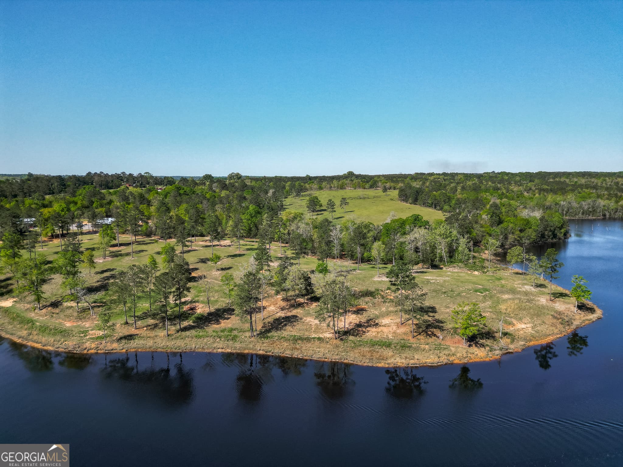 agriculture sold at 1009 Walter Wells Road, Buena Vista, GA 31803