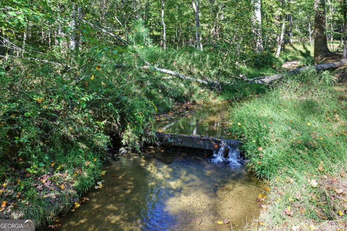 3 bedroom, 2 bathroom, 1,904 sq ft cabin,single family residence for sale at 15 Padget Lane, Ellijay, GA 30540 — photo 5