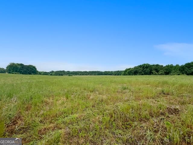 agriculture under contract at 258 Whiting Road, Lavonia, GA 30553 — photo 2