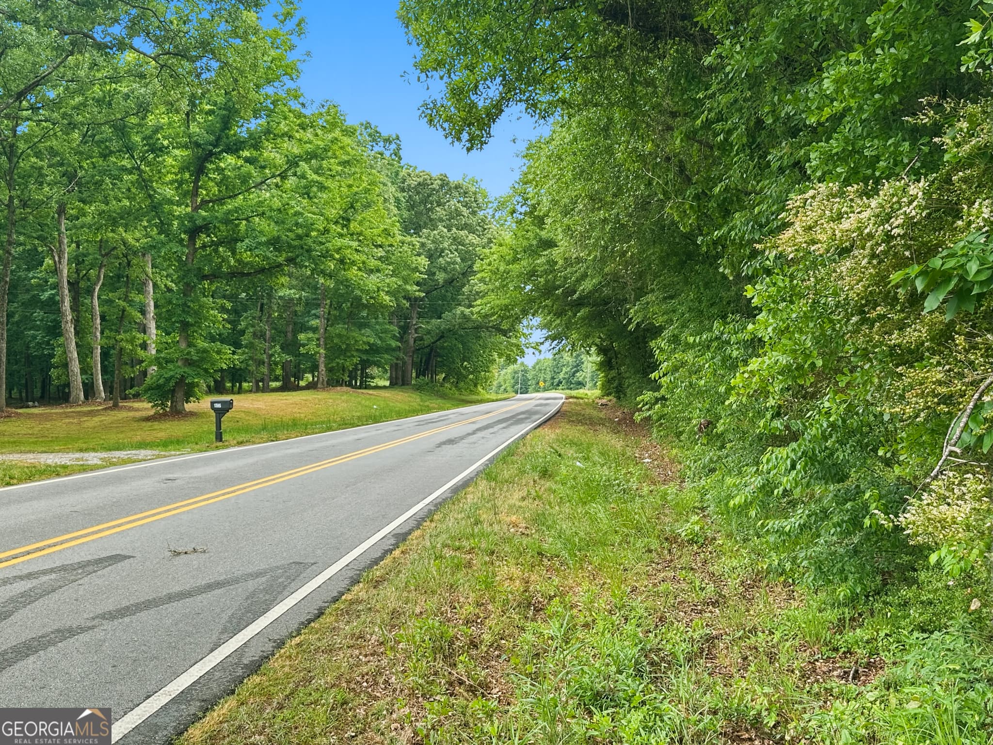 agriculture under contract at 258 Whiting Road, Lavonia, GA 30553 — photo 9