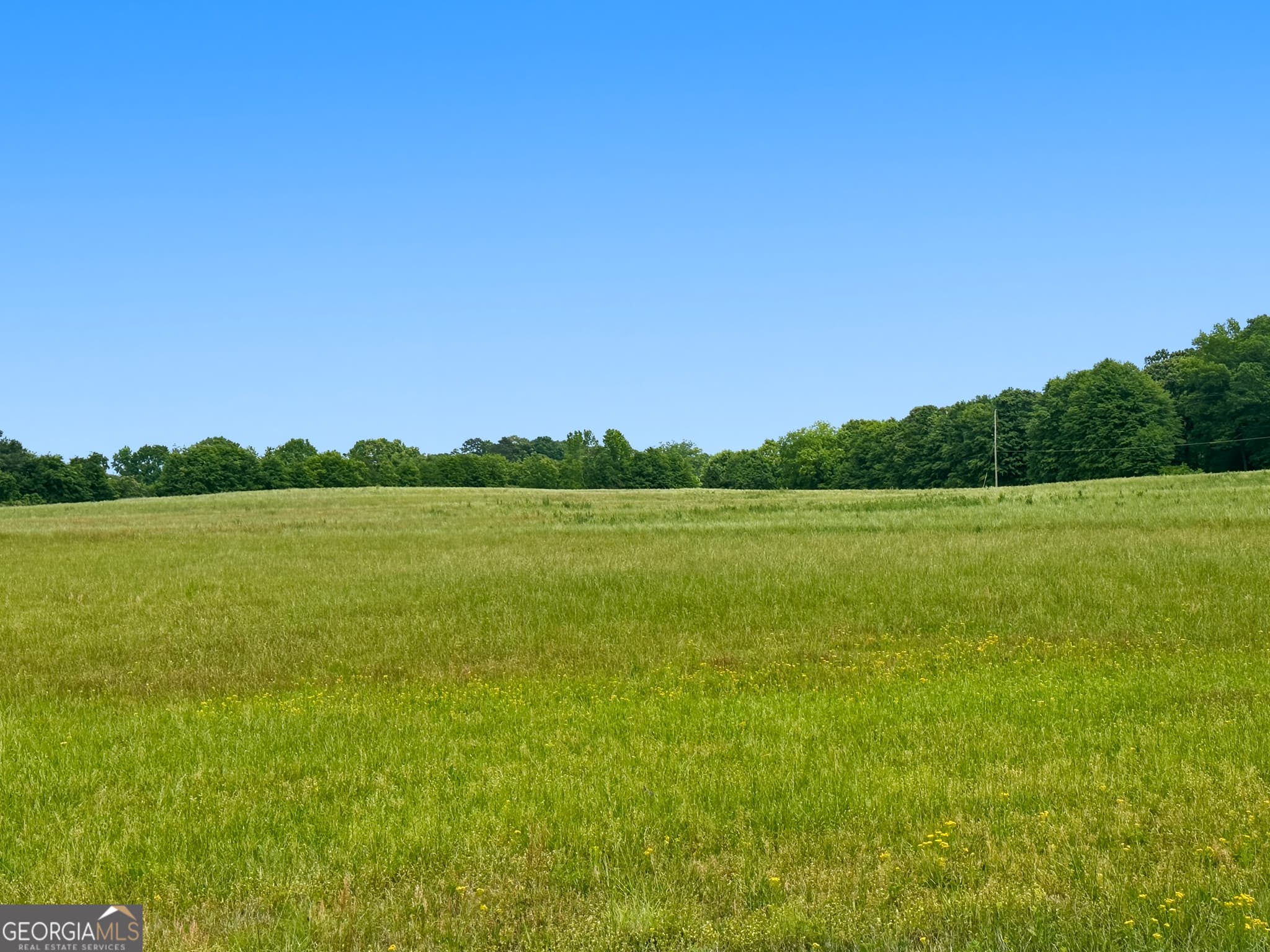 agriculture under contract at 258 Whiting Road, Lavonia, GA 30553 — photo 10