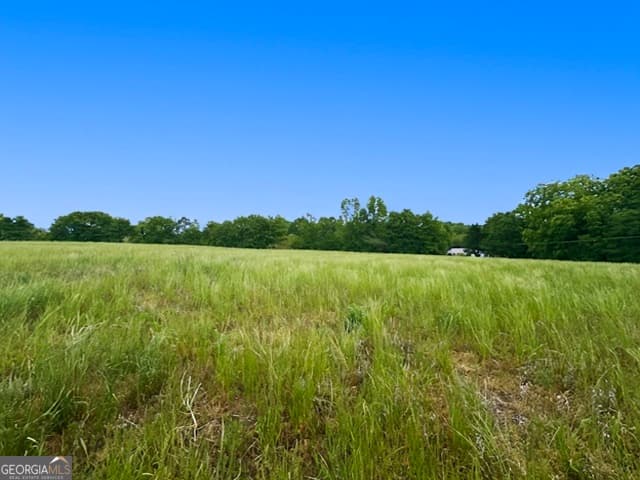 agriculture under contract at 258 Whiting Road, Lavonia, GA 30553 — photo 4