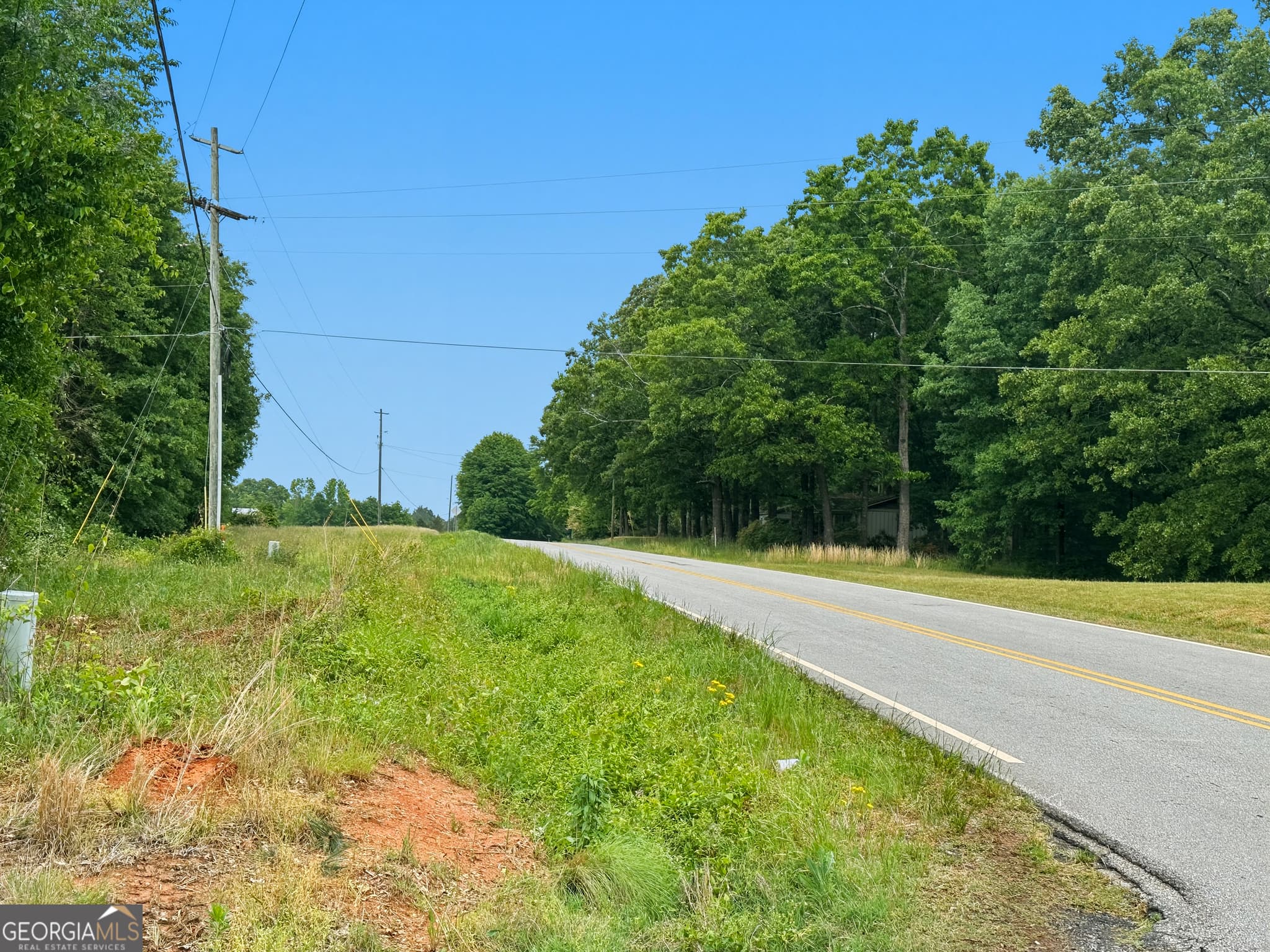 agriculture under contract at 258 Whiting Road, Lavonia, GA 30553 — photo 8