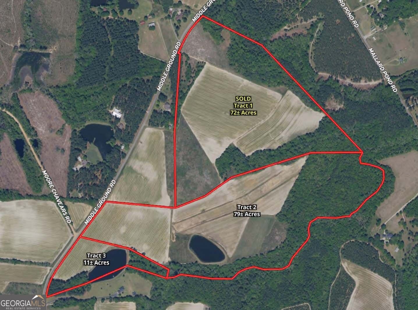 agriculture for sale at 0 Middleground Road TRACT 2, Statesboro, GA 30461 — photo 2