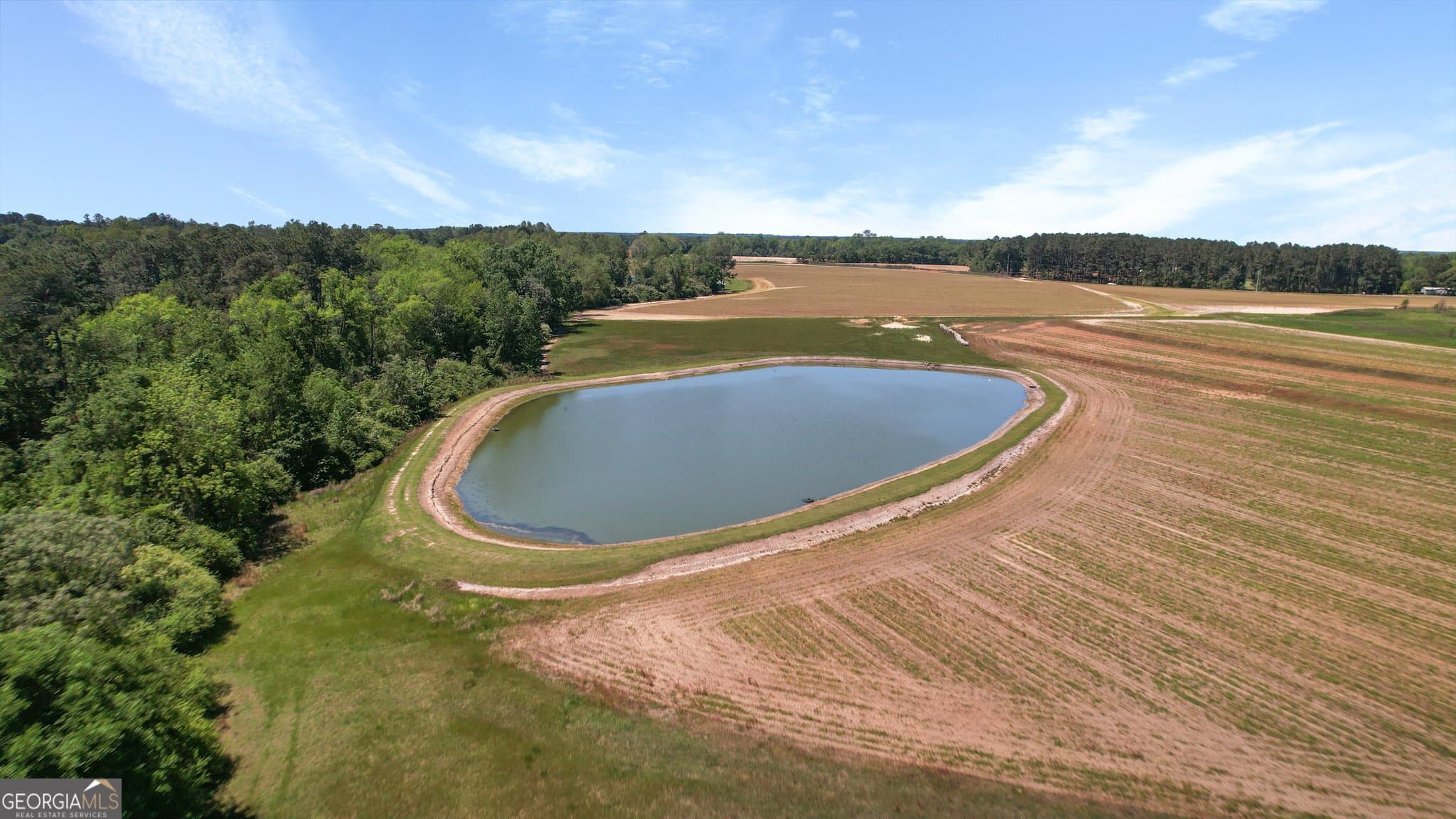 agriculture for sale at 0 Middleground Road TRACT 2, Statesboro, GA 30461 — photo 7