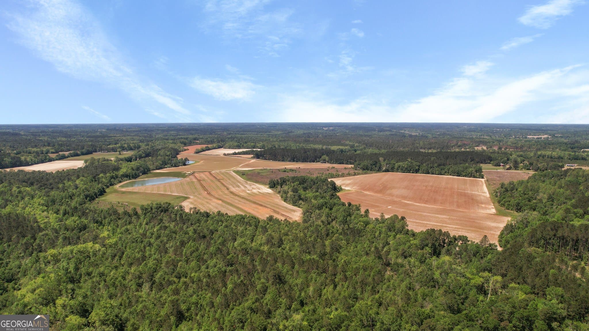 agriculture for sale at 0 Middleground Road TRACT 2, Statesboro, GA 30461 — photo 3