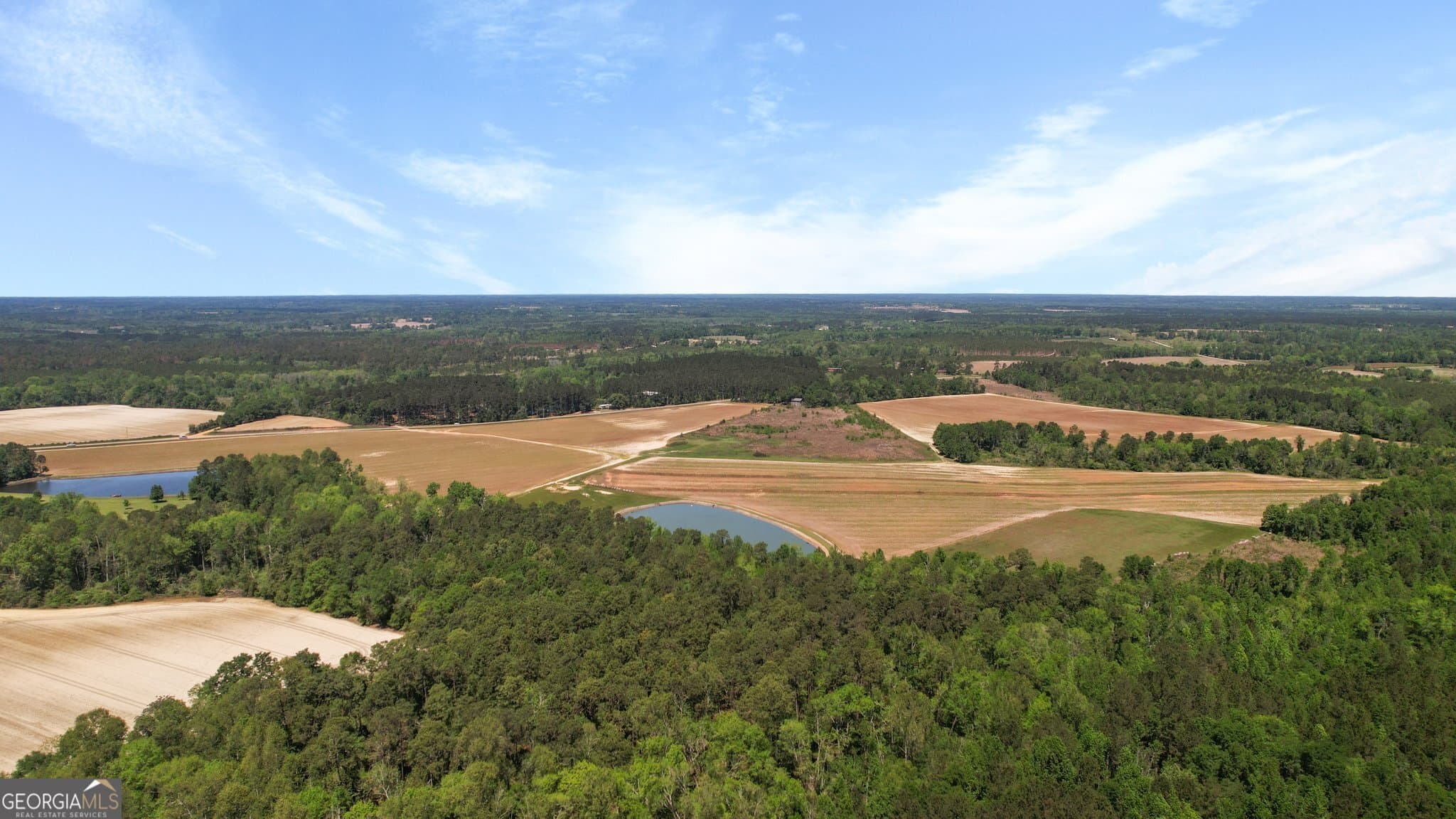 agriculture for sale at 0 Middleground Road TRACT 2, Statesboro, GA 30461