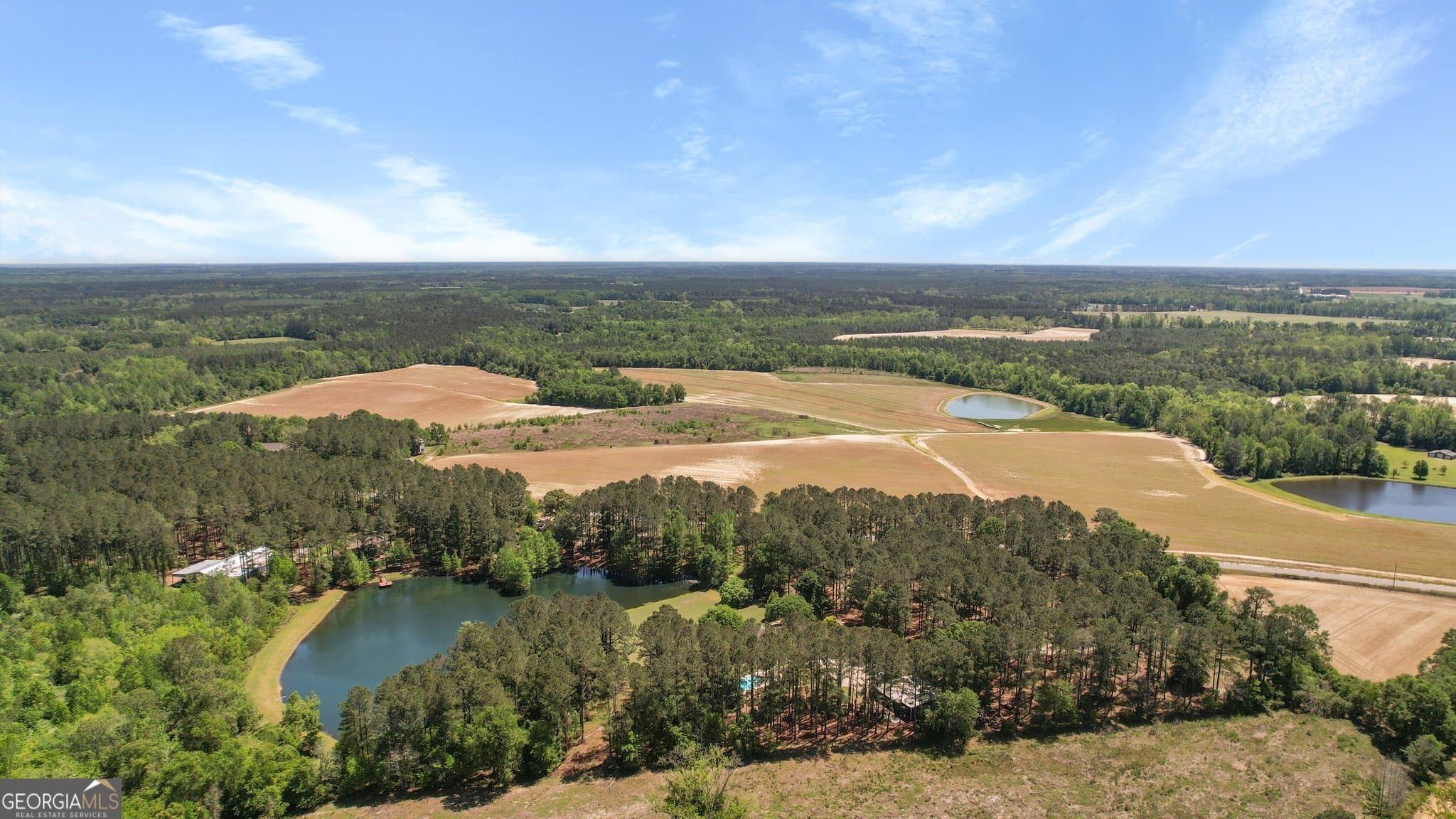 agriculture for sale at 0 Middleground Road TRACT 2, Statesboro, GA 30461 — photo 5
