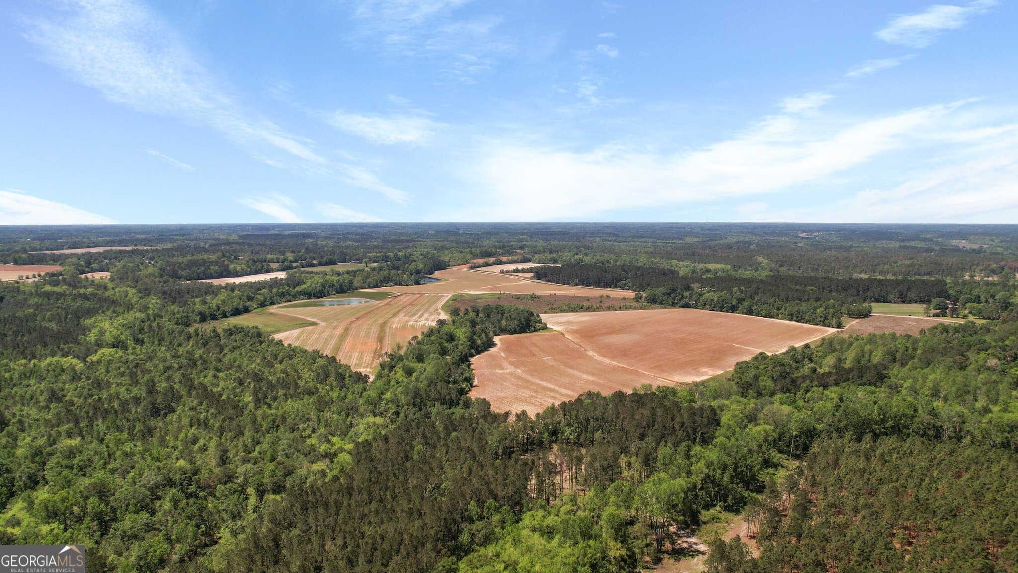 agriculture for sale at 0 Middleground Road TRACT 2, Statesboro, GA 30461 — photo 10