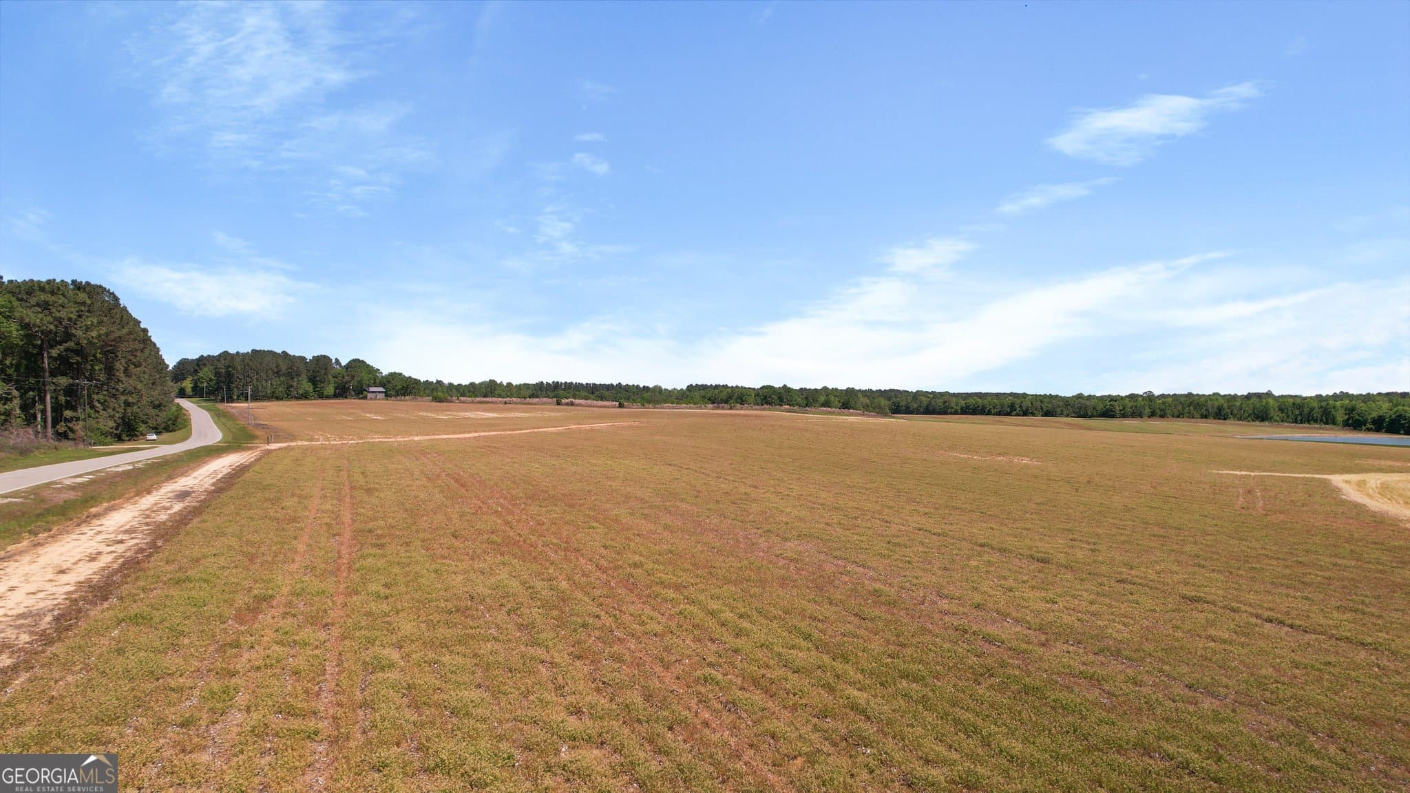 agriculture for sale at 0 Middleground Road TRACT 2, Statesboro, GA 30461 — photo 4