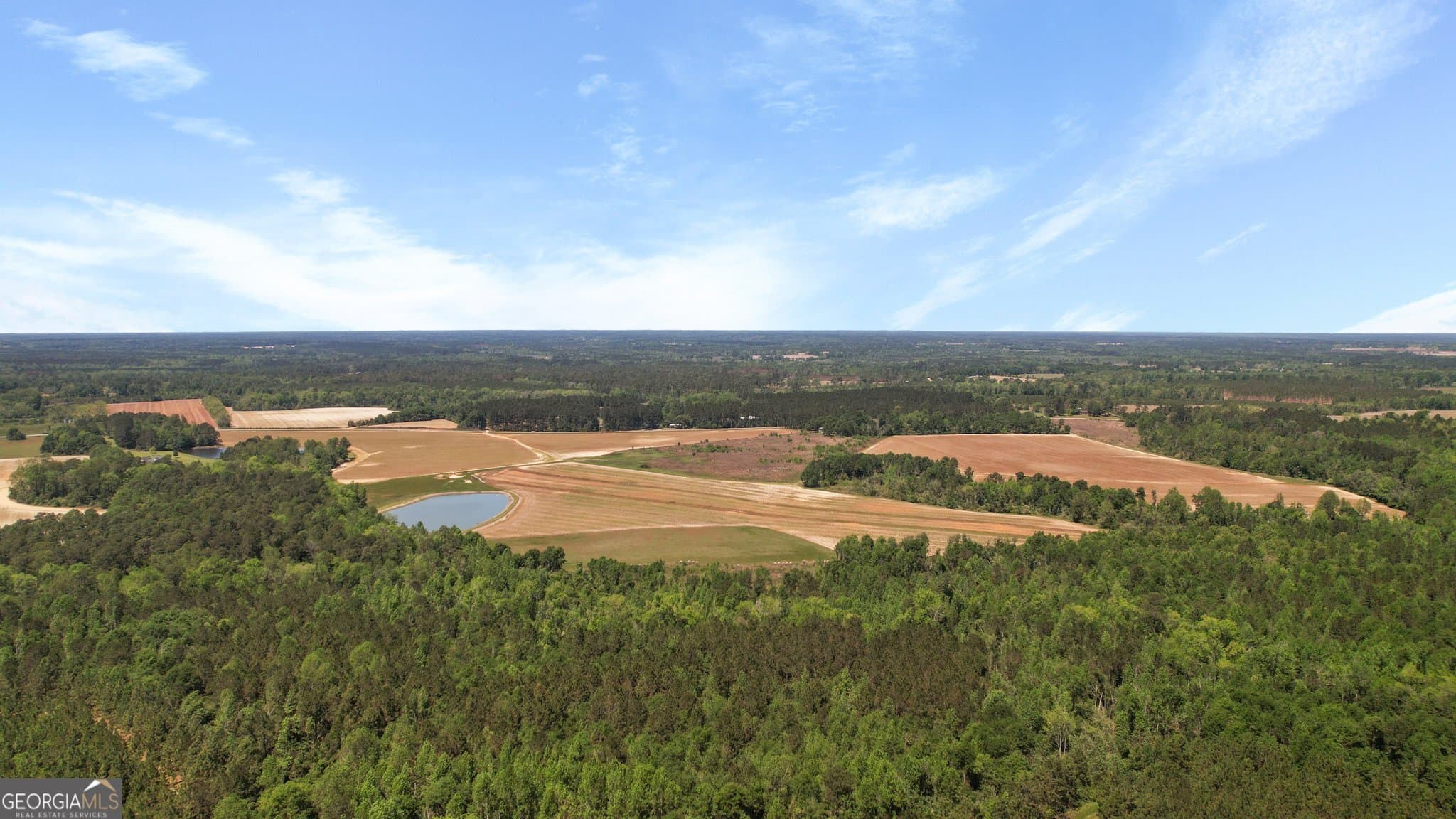 agriculture for sale at 0 Middleground Road TRACT 2, Statesboro, GA 30461 — photo 8