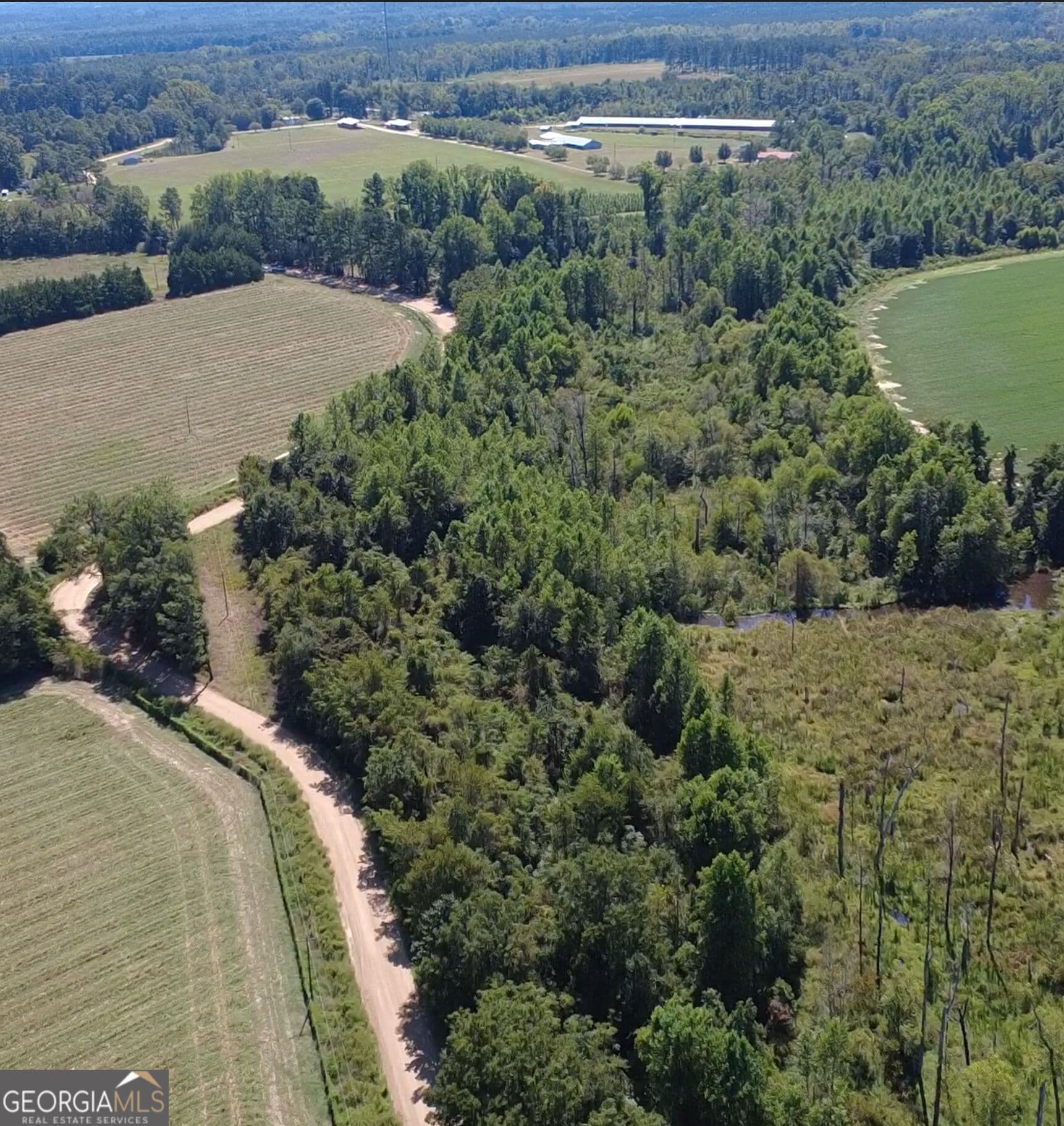 unimproved land for sale at 0 Rommie Thompson Road, Claxton, GA 30417 — photo 2