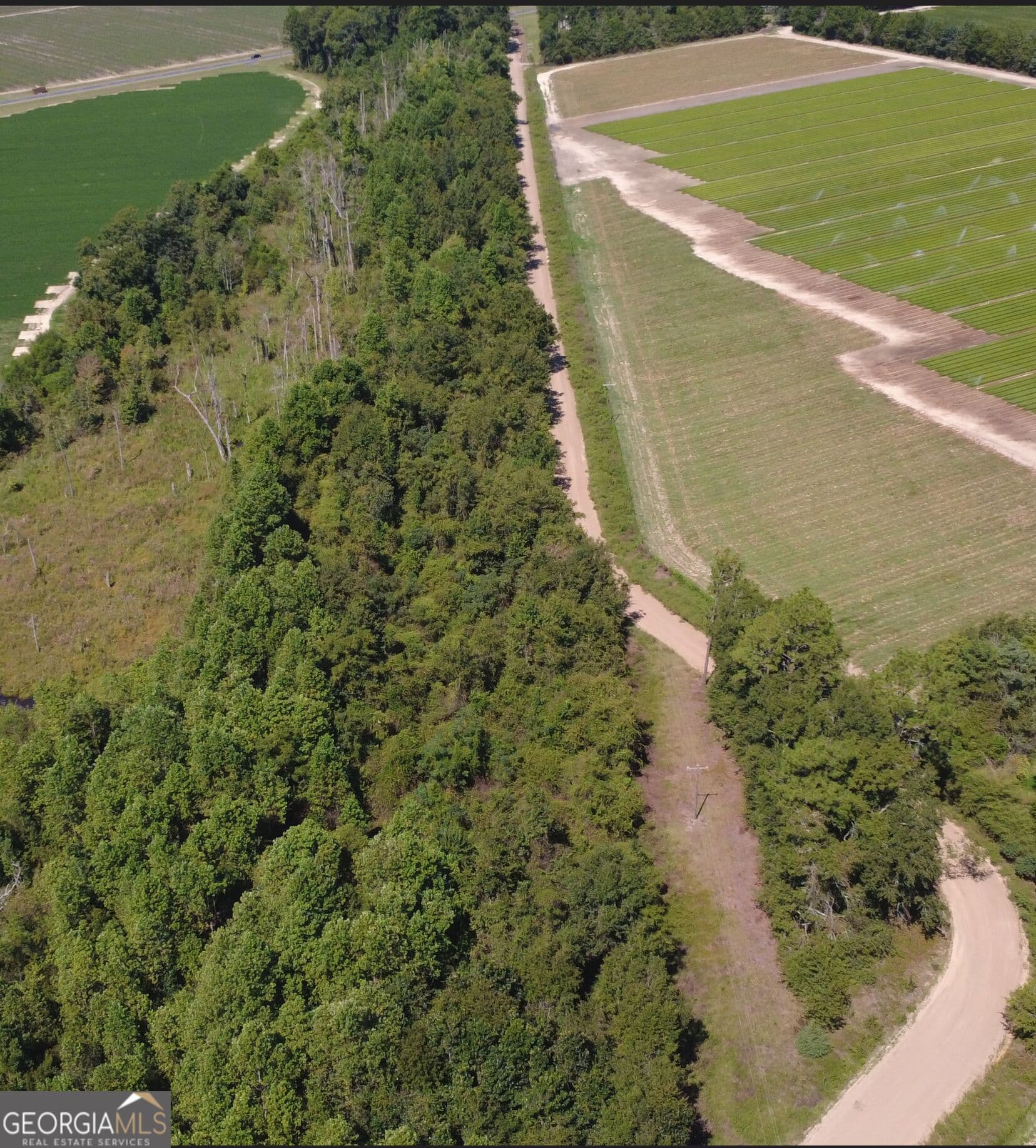unimproved land for sale at 0 Rommie Thompson Road, Claxton, GA 30417 — photo 3