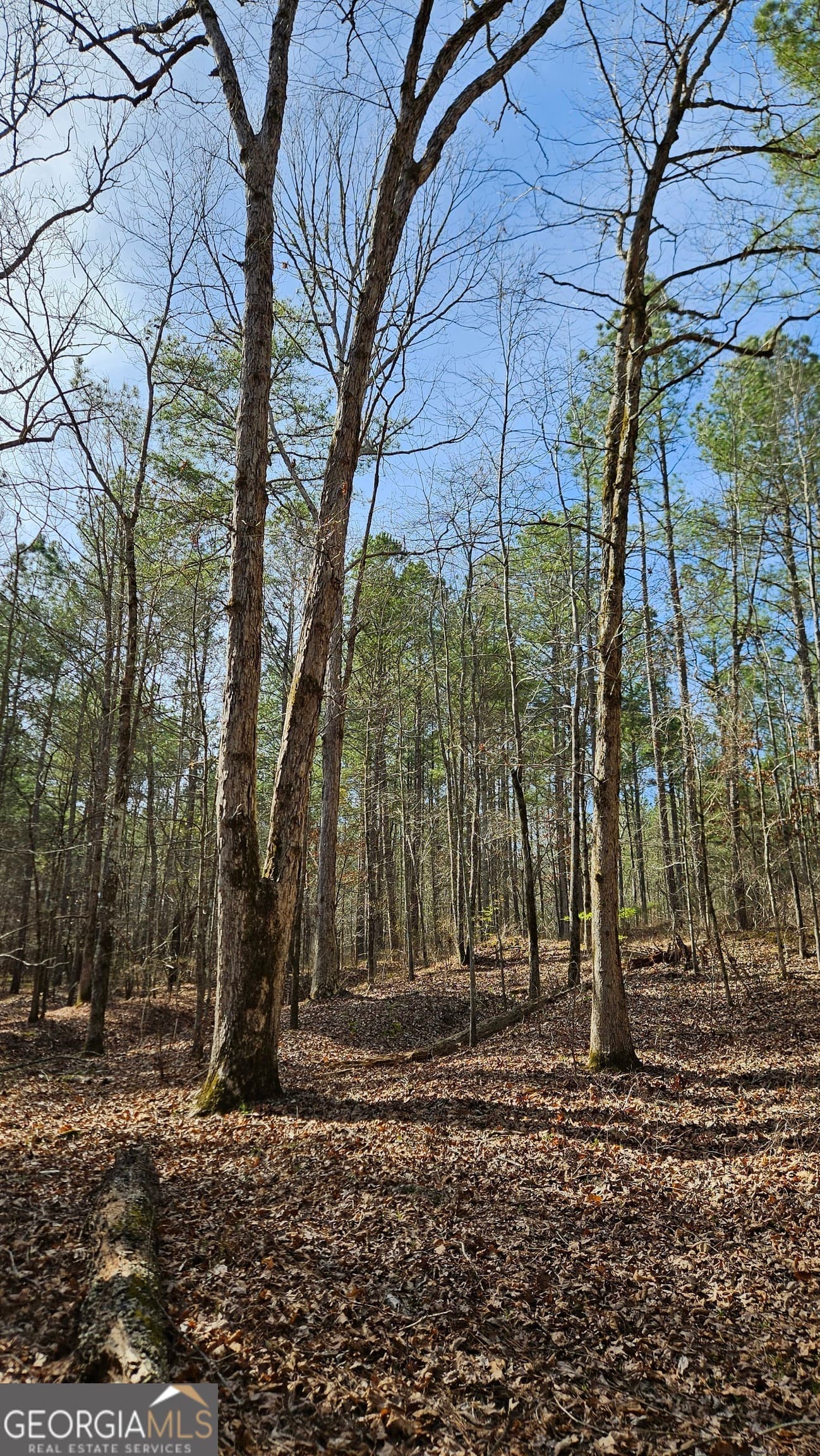 estate lot for sale at 1121 Apalachee Meadows Drive, Madison, GA 30650 — photo 2