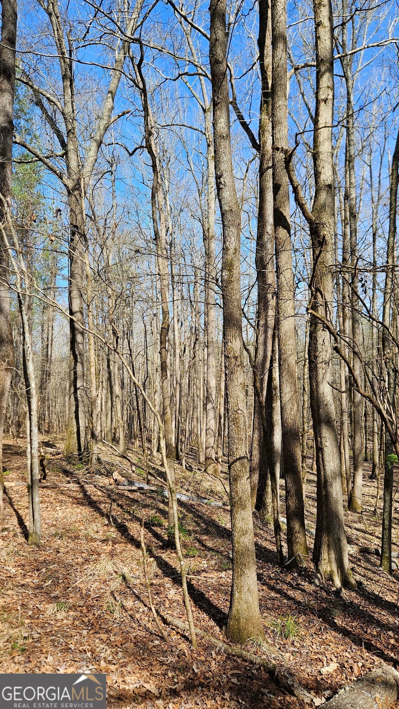 estate lot for sale at 1121 Apalachee Meadows Drive, Madison, GA 30650 — photo 7