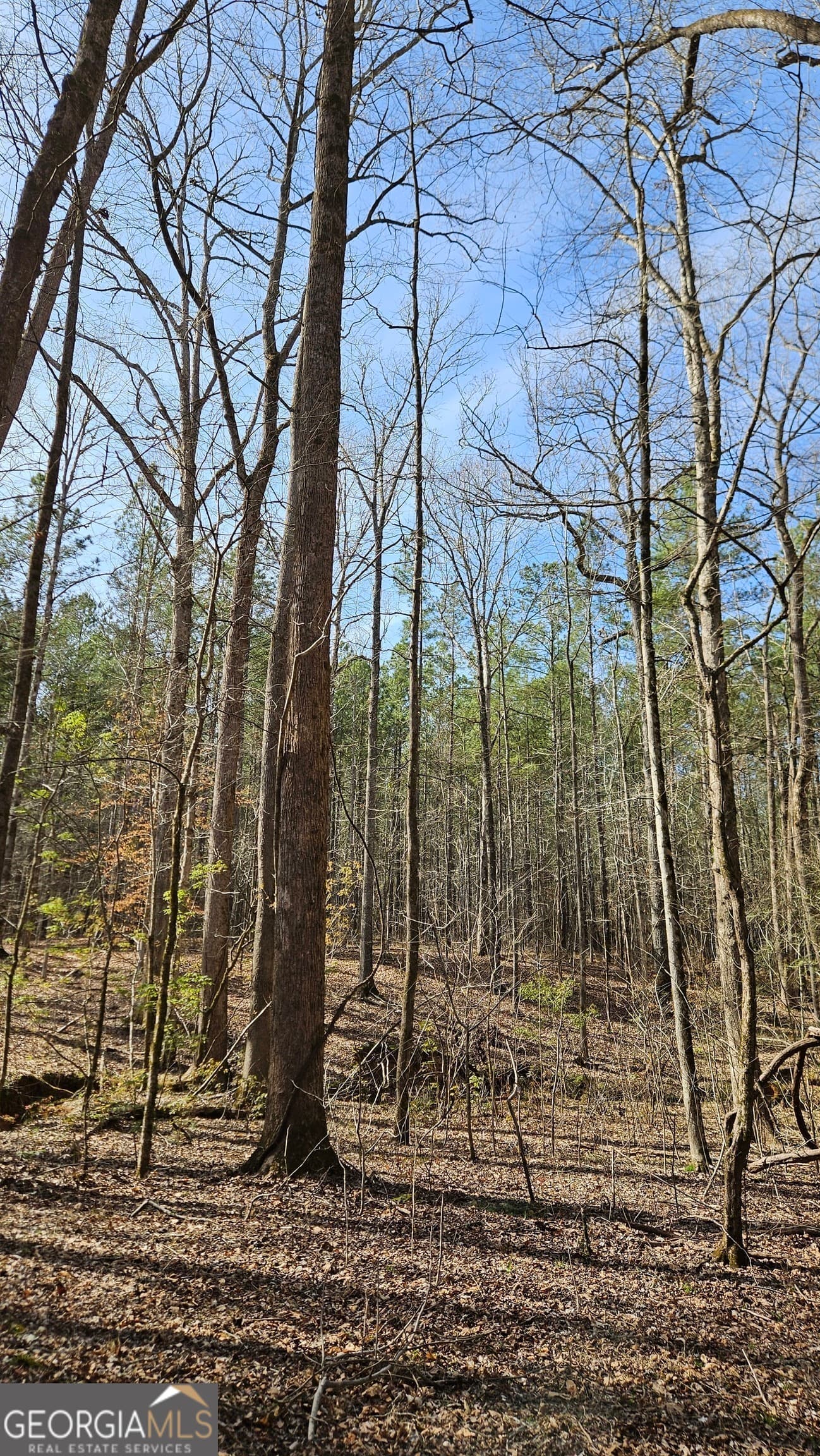 estate lot for sale at 1121 Apalachee Meadows Drive, Madison, GA 30650 — photo 3