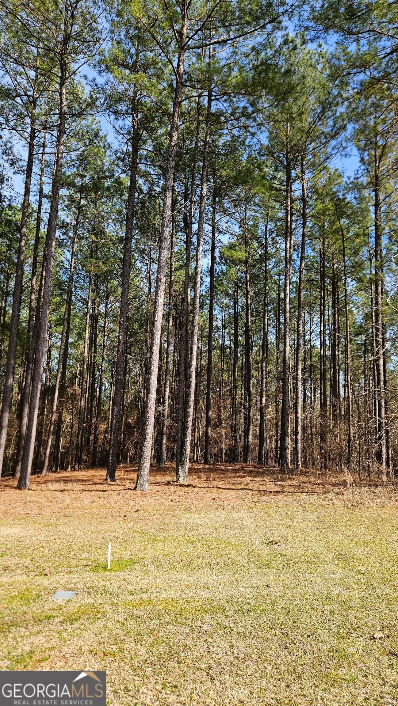 estate lot for sale at 1121 Apalachee Meadows Drive, Madison, GA 30650 — photo 1 of 18