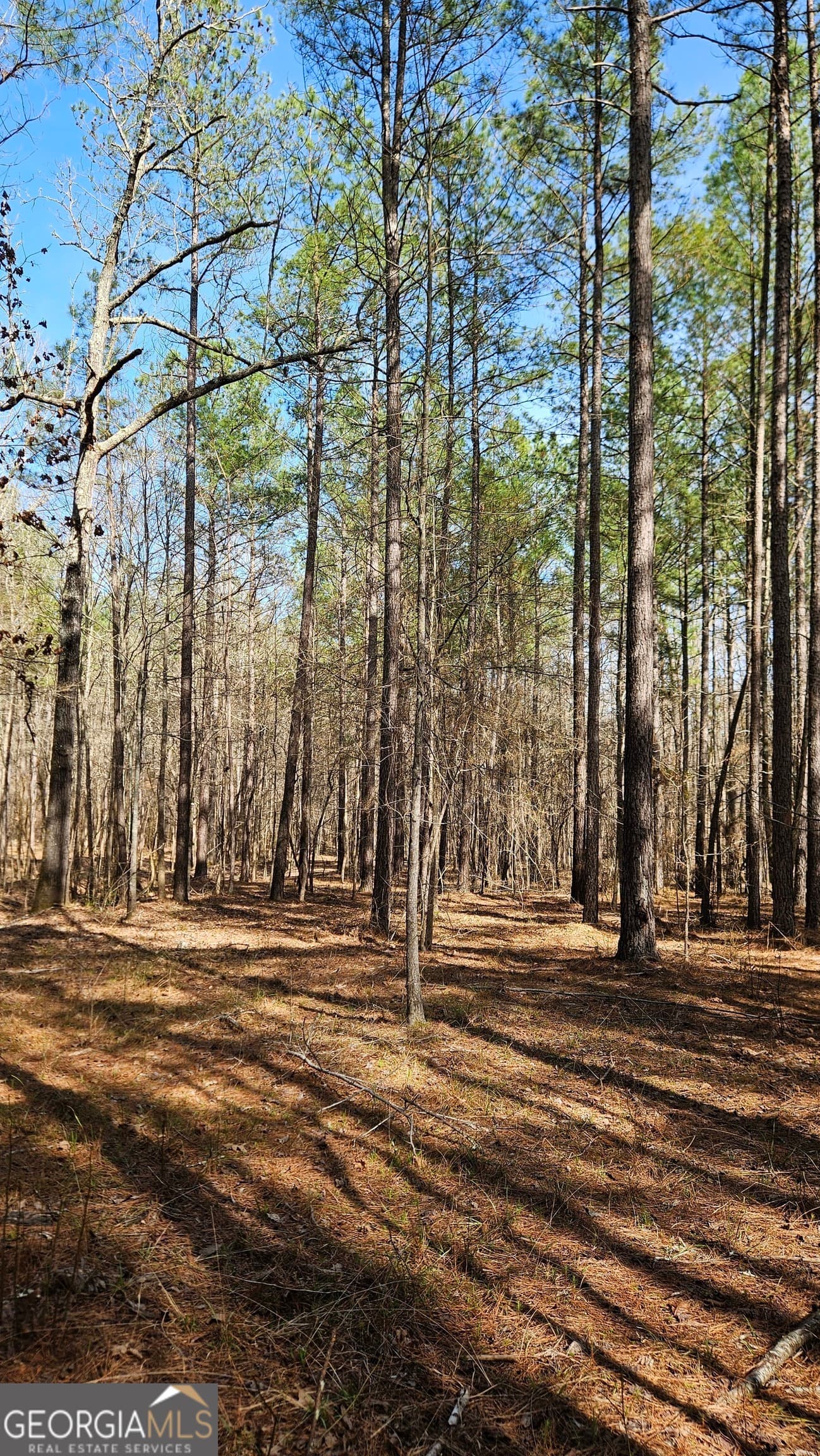estate lot for sale at 1121 Apalachee Meadows Drive, Madison, GA 30650 — photo 9